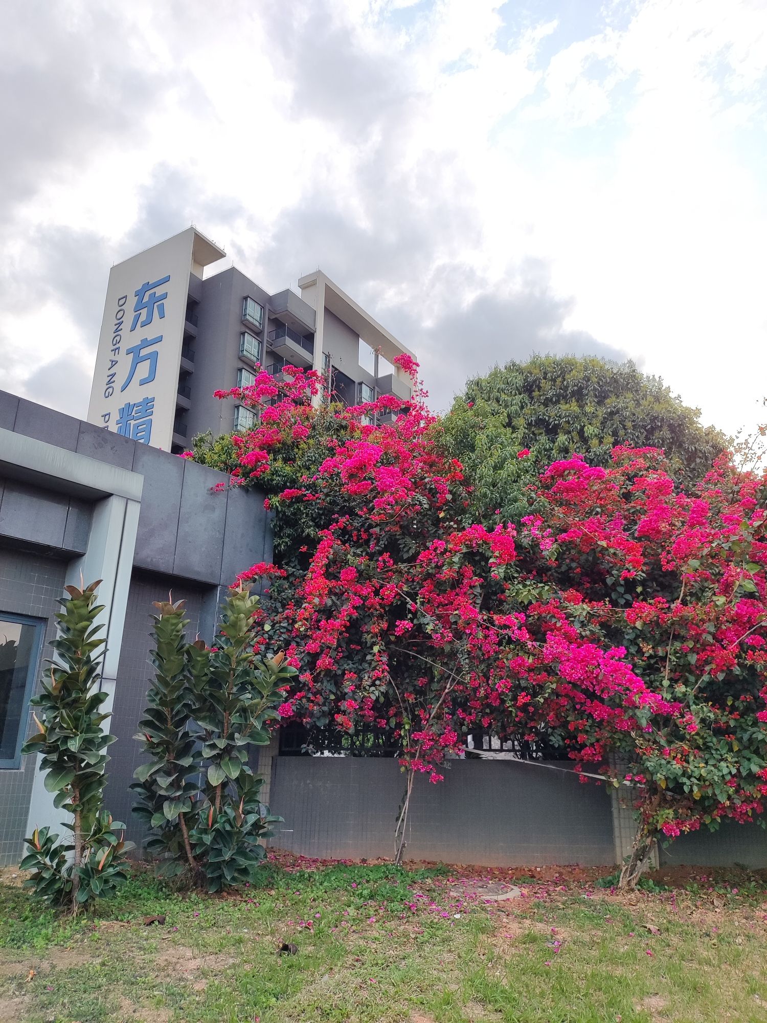 广东东方精工科技股份有限公司