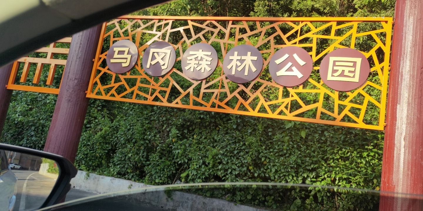 容桂马岗森林公园旅行图片 1
