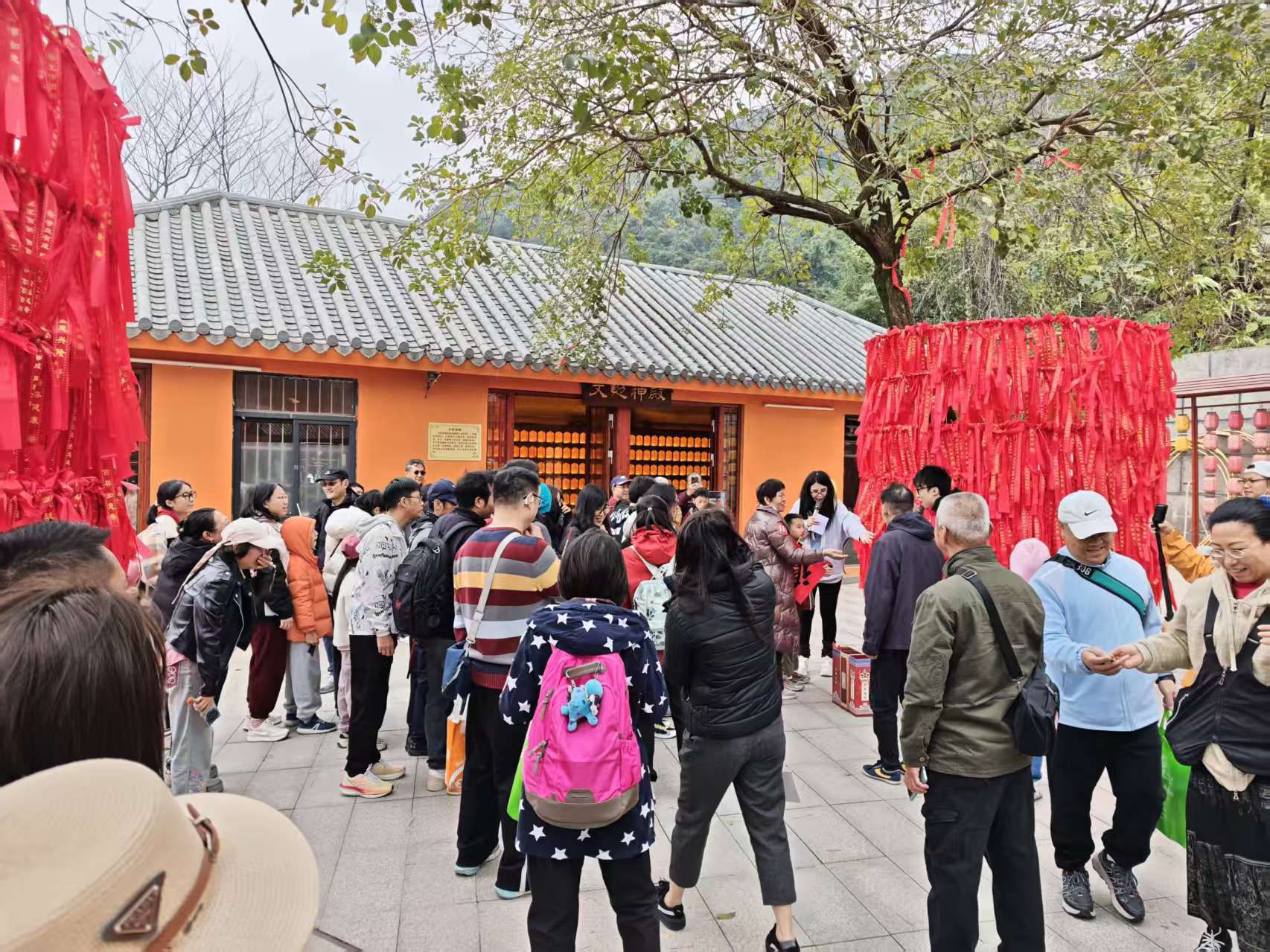 南丹山森林王国旅行图片 3