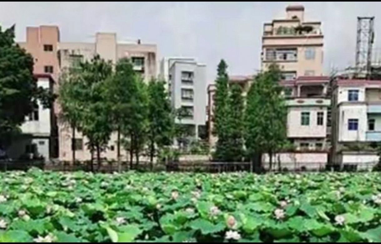 里东公园旅行图片 1