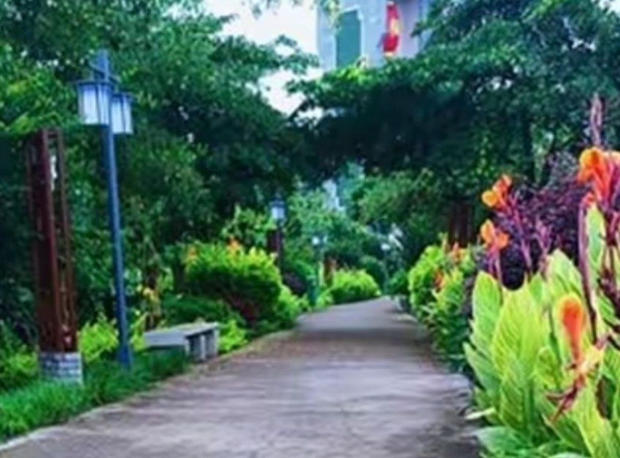 里东公园旅行图片 2