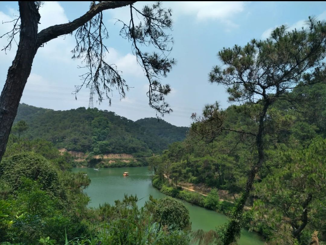 泰康山生态旅游度假区旅行图片 1
