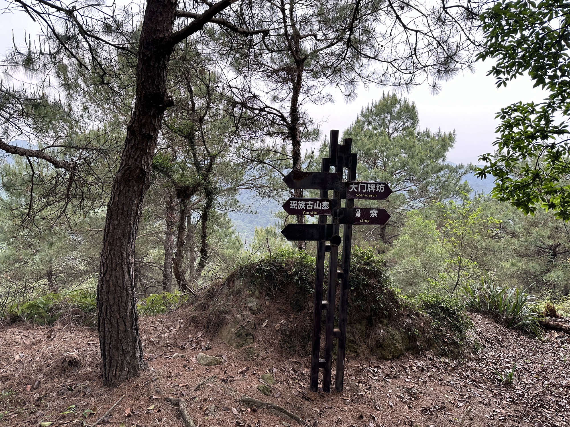 泰康山生态旅游度假区旅行图片 3
