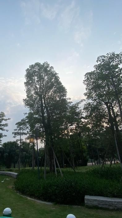 水口公园旅行图片 2
