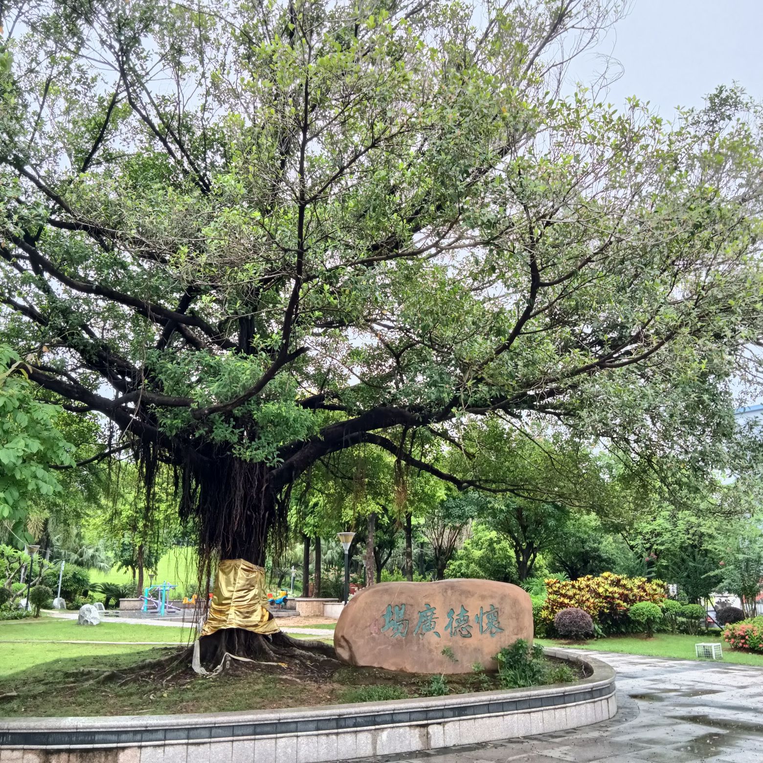 水口公园旅行图片 3