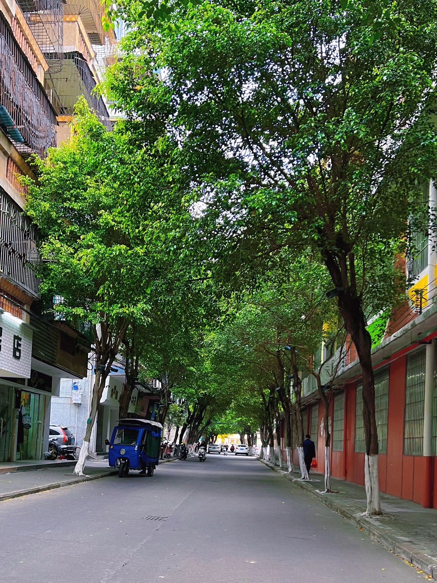 交通公园旅行图片 1