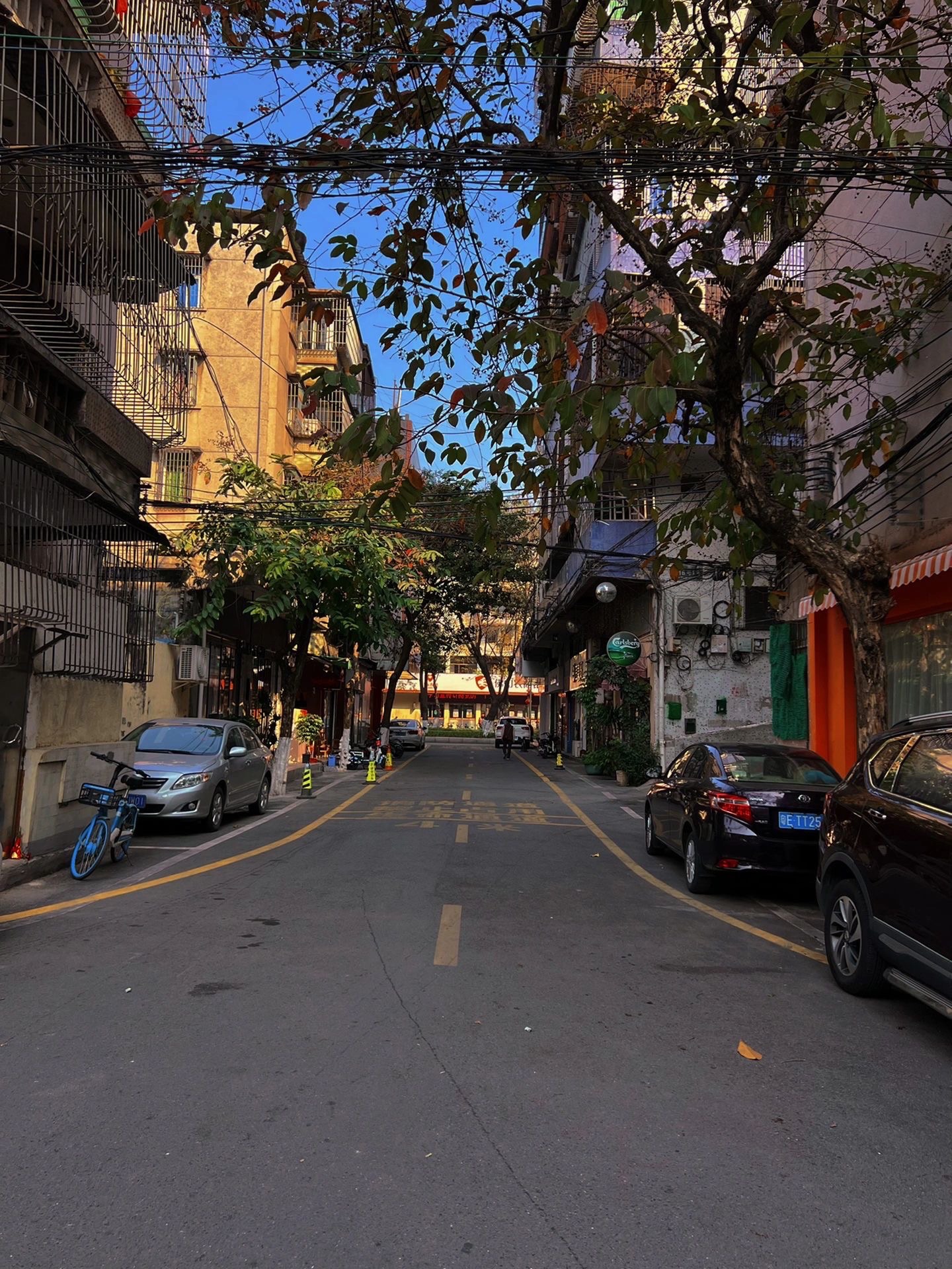 交通公园旅行图片 3