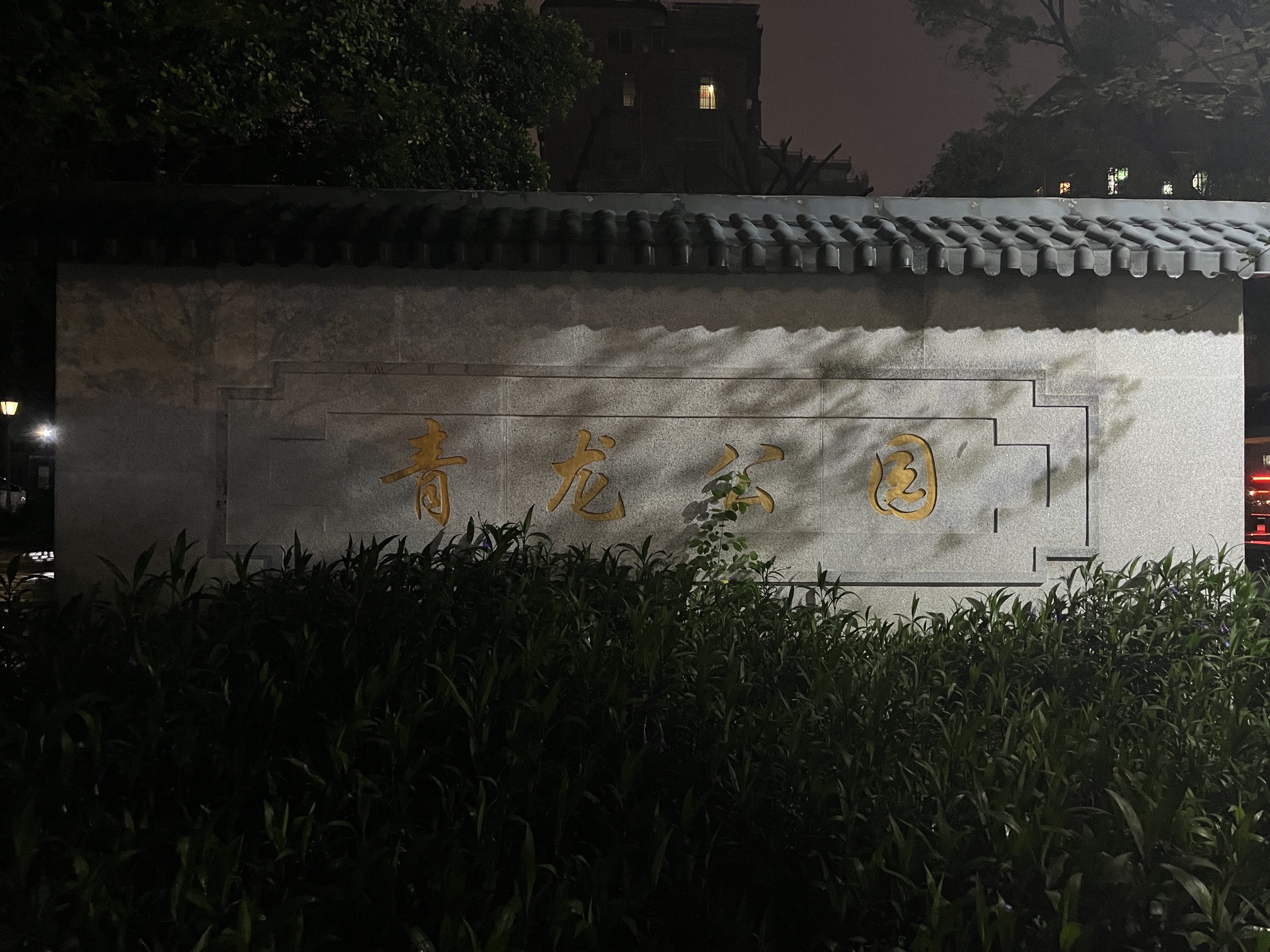 青龙公园旅行图片 1