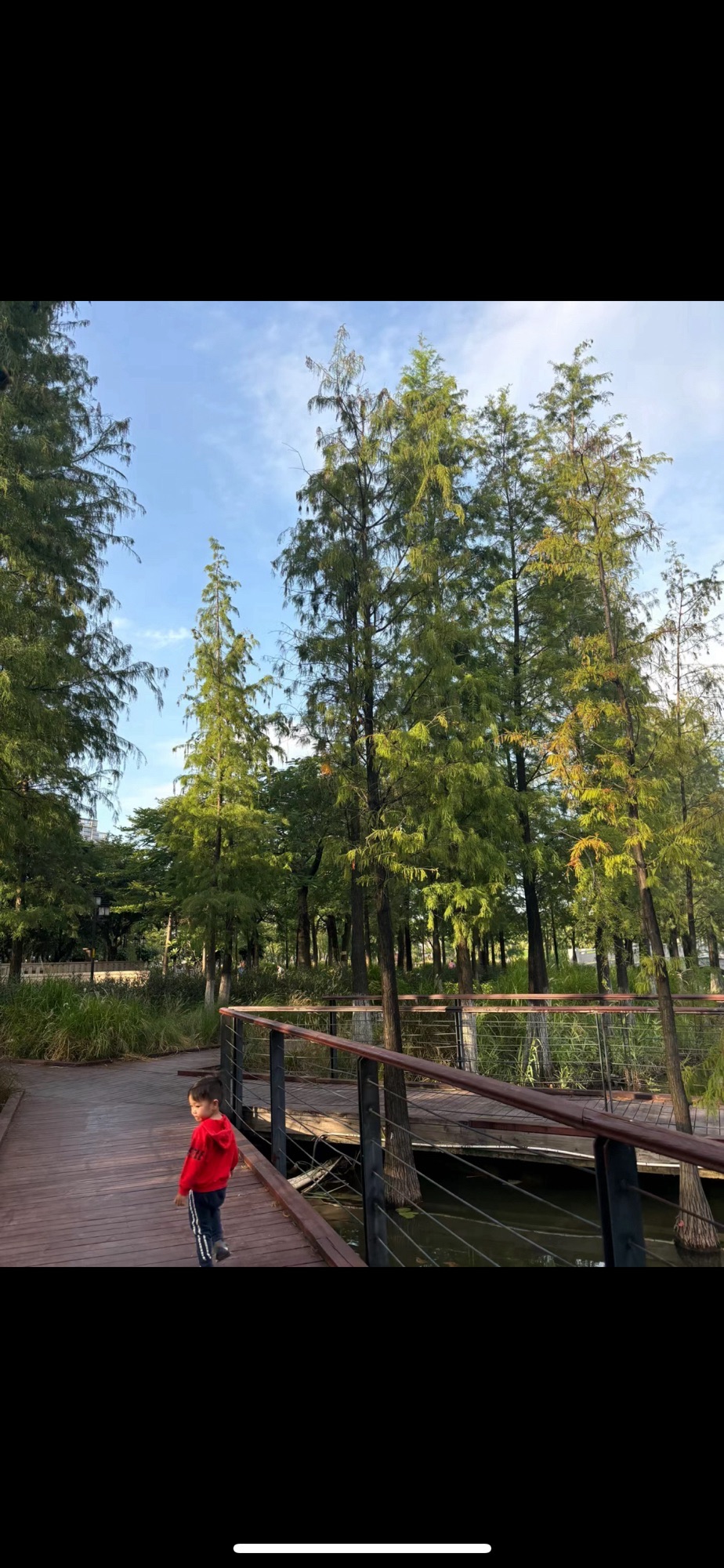 映月湖公园旅行图片 3