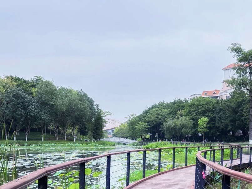 映月湖公园旅行图片 2