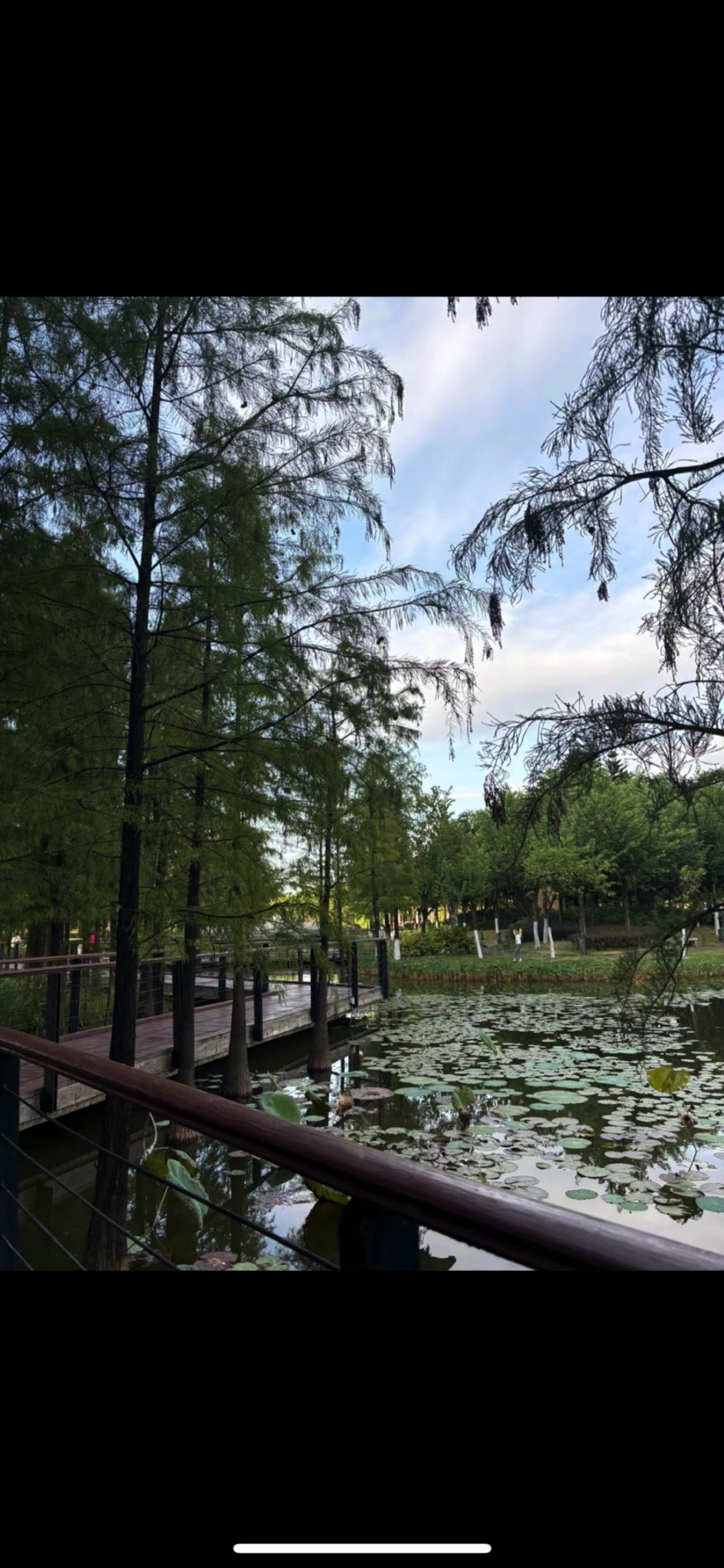 映月湖公园旅行图片 1