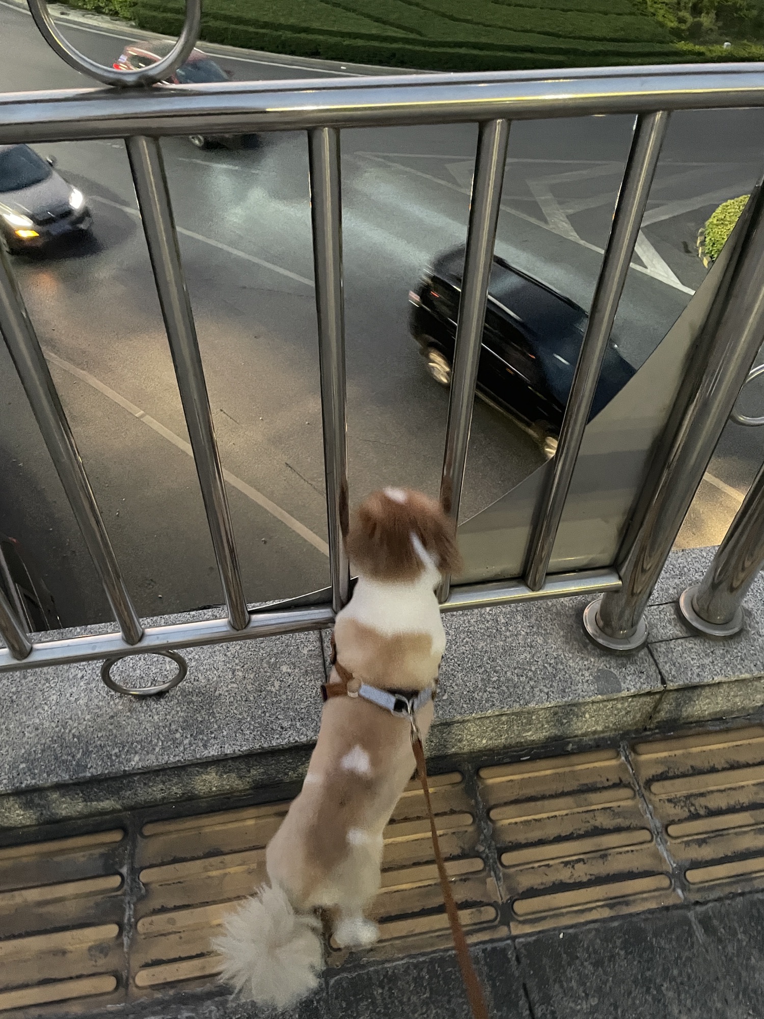 小塘公园旅行图片 2