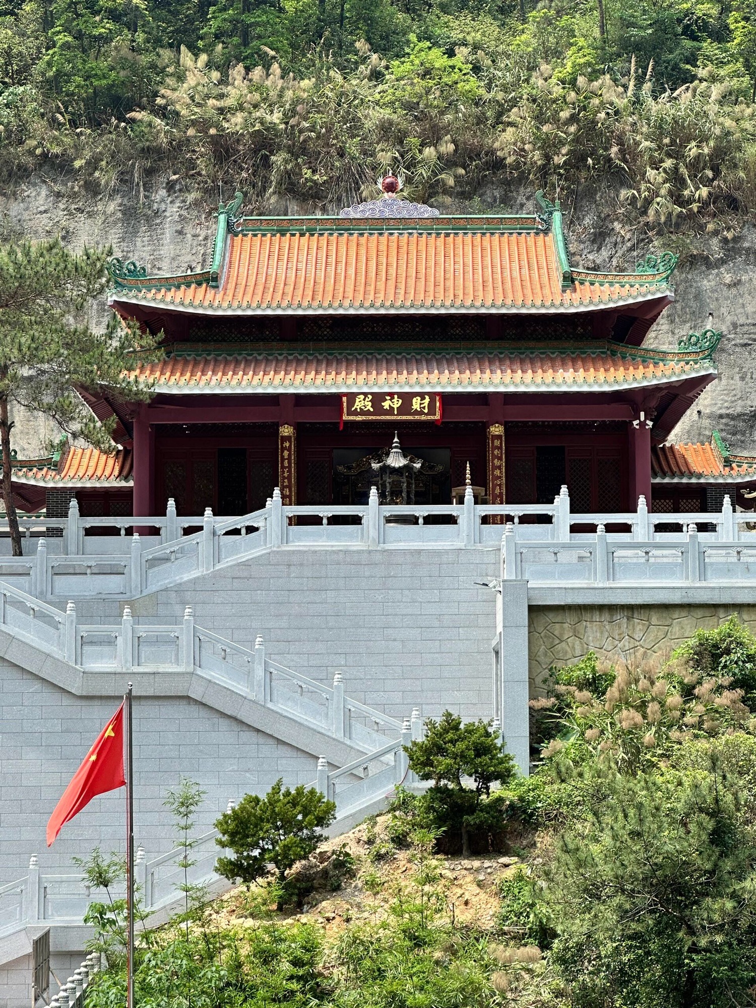 南海湾森林生态园旅行图片 2