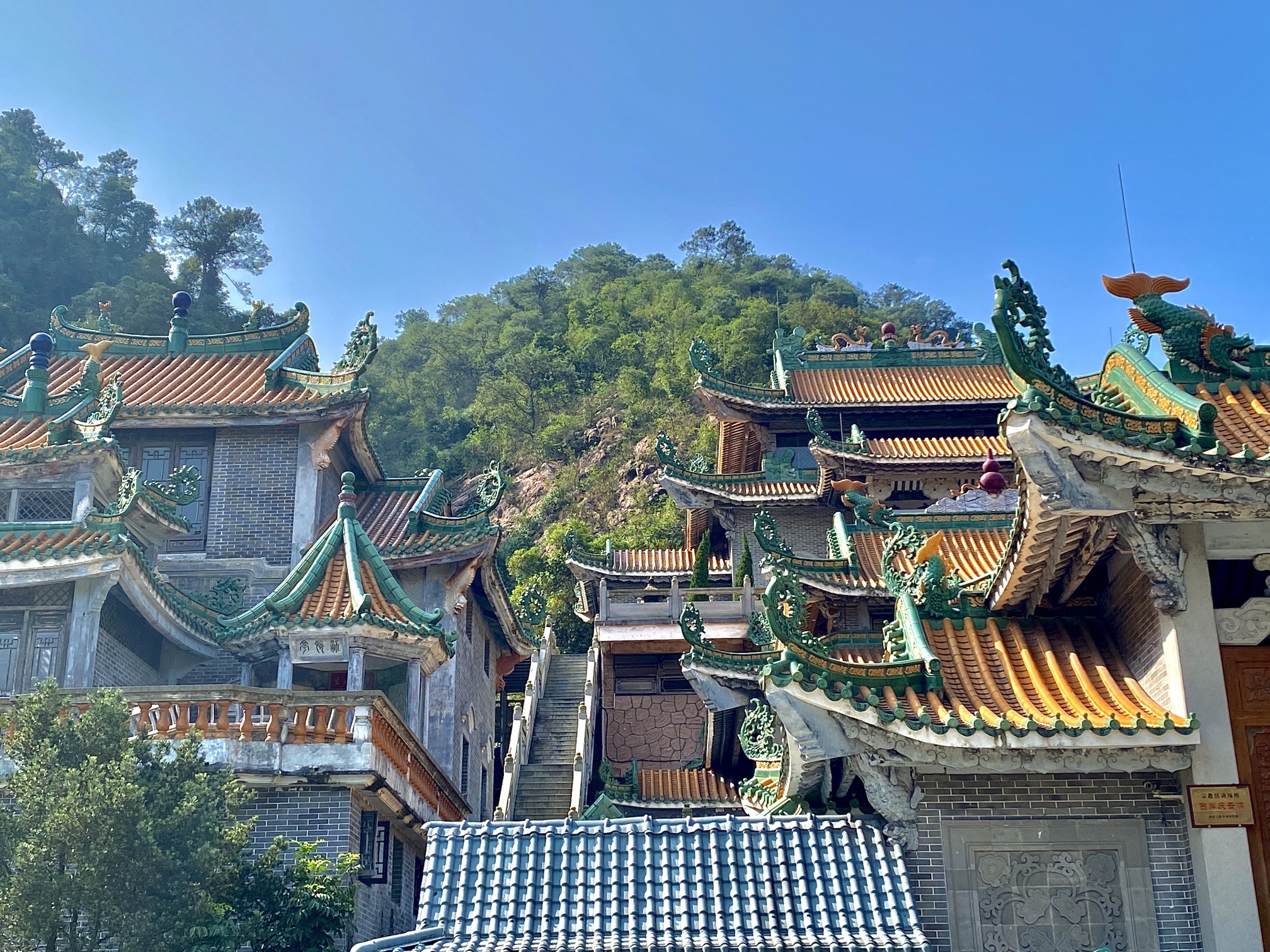 南海湾森林生态园旅行图片 3