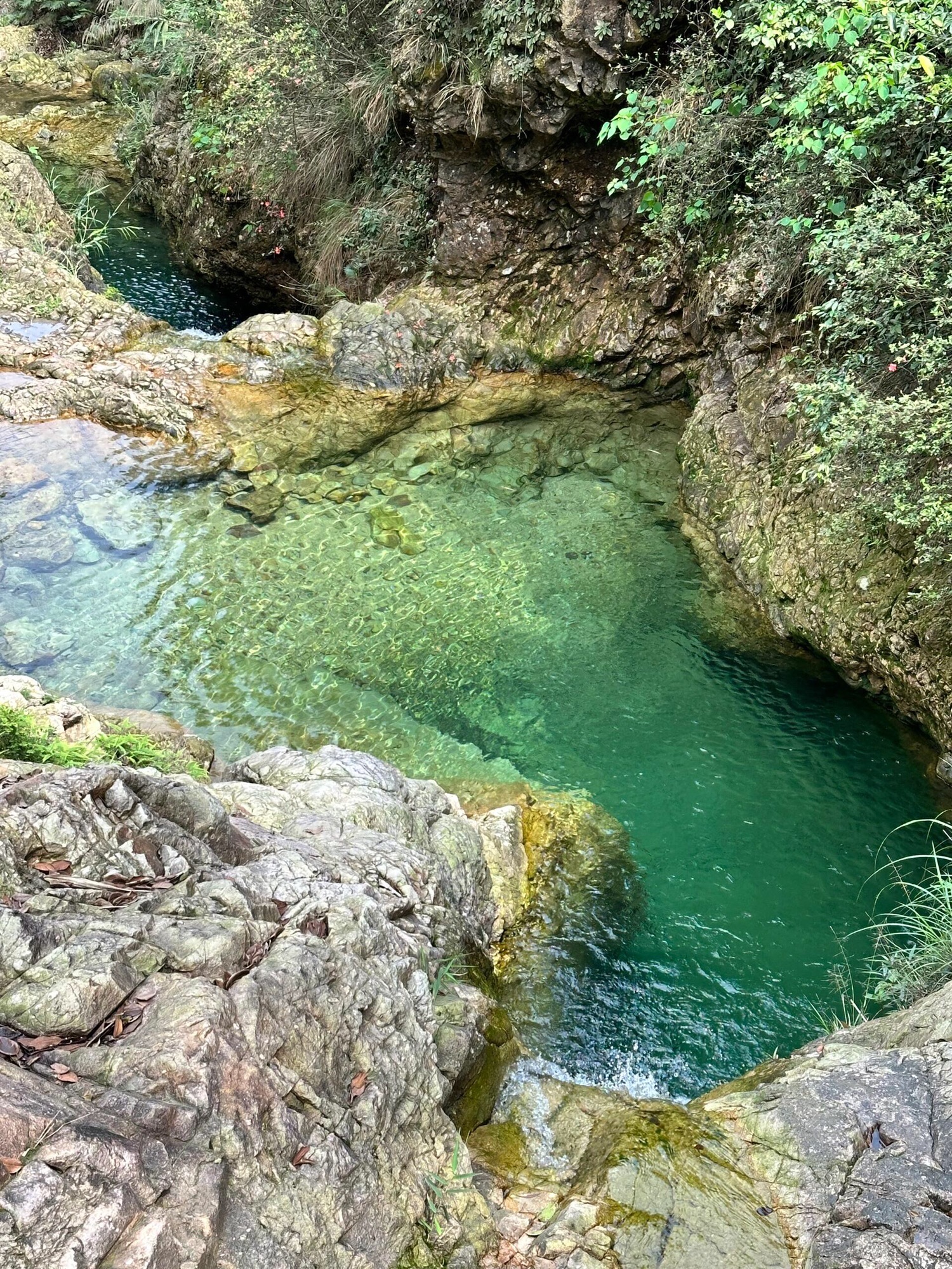 南海湾森林生态园旅行图片 3