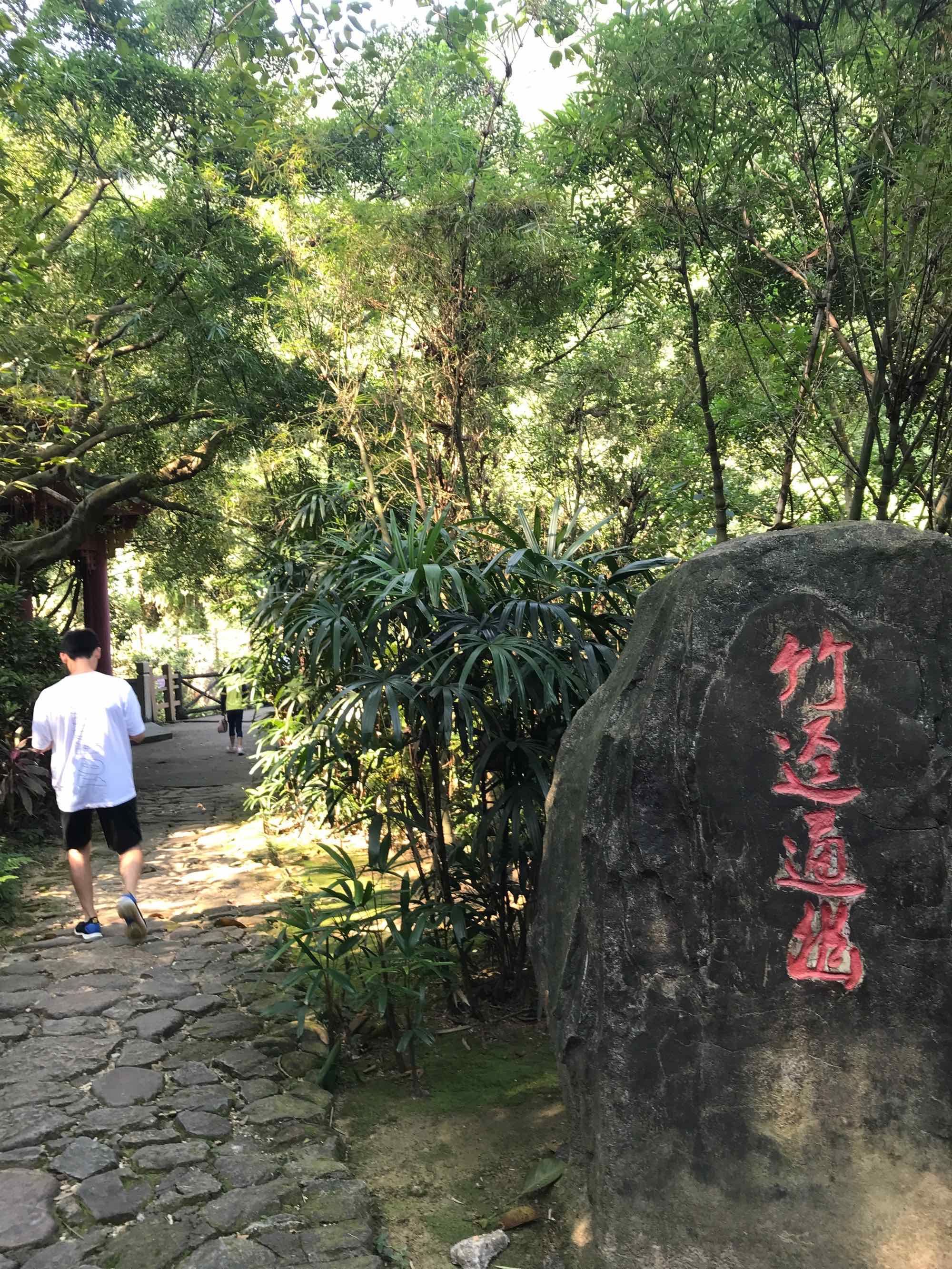 南海湾森林生态园旅行图片 3