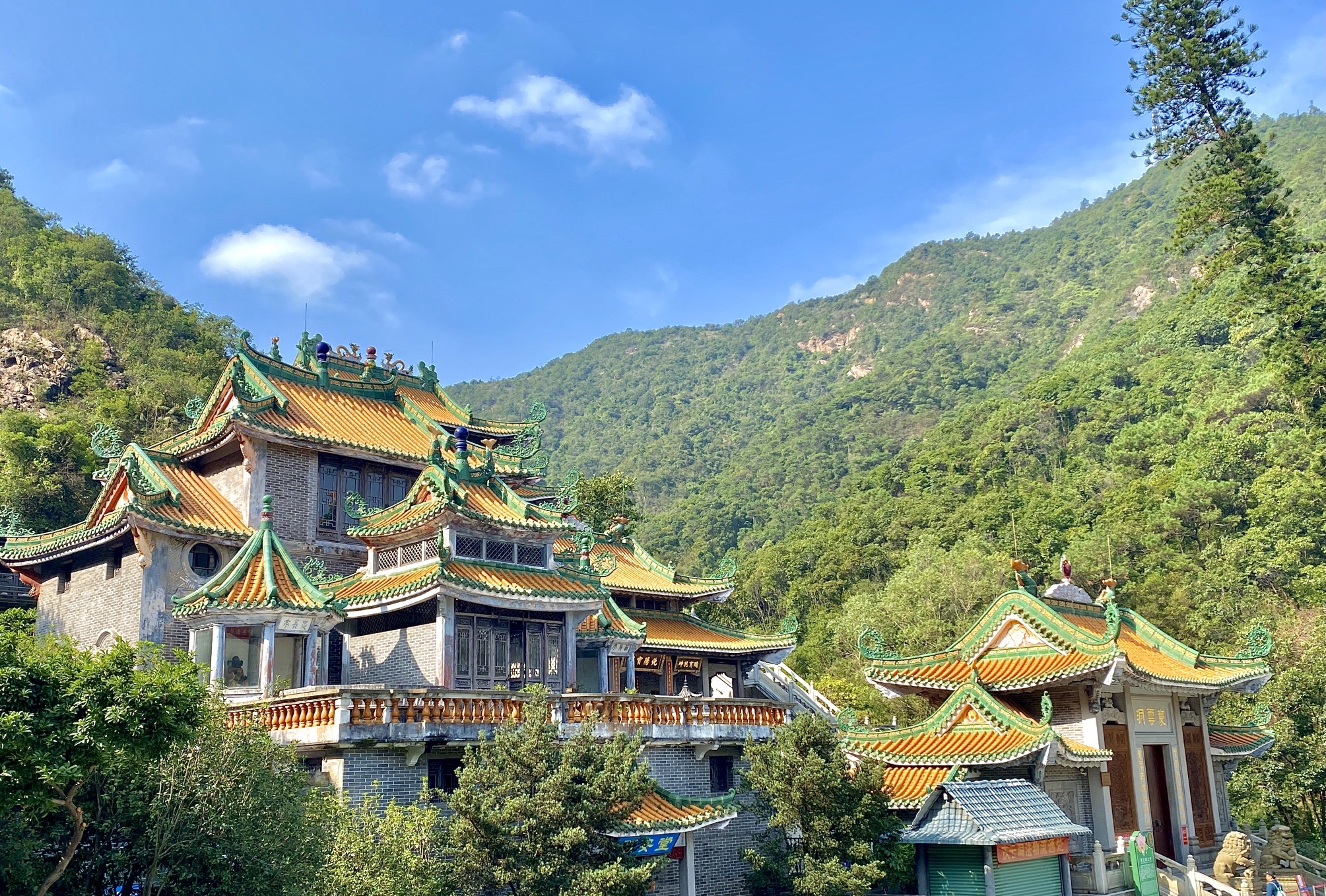 南海湾森林生态园旅行图片 2