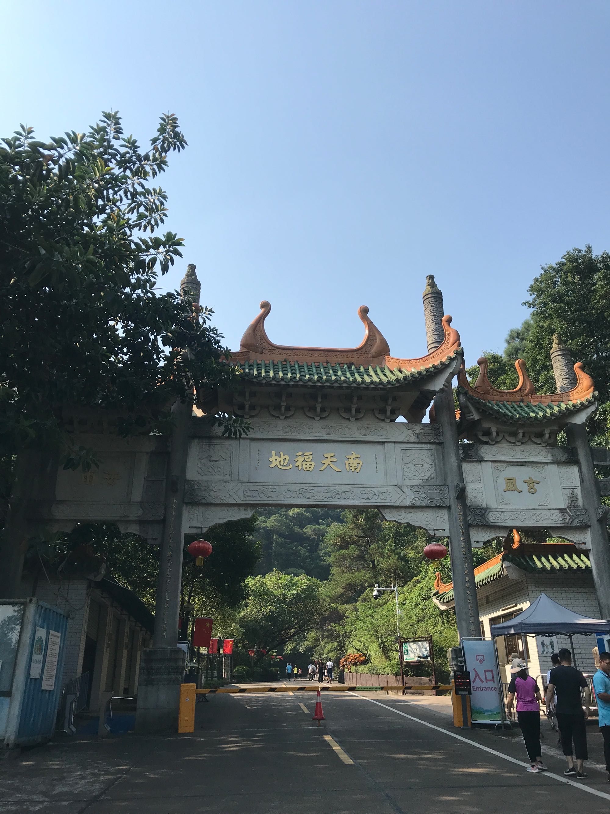 南海湾森林生态园旅行图片 2