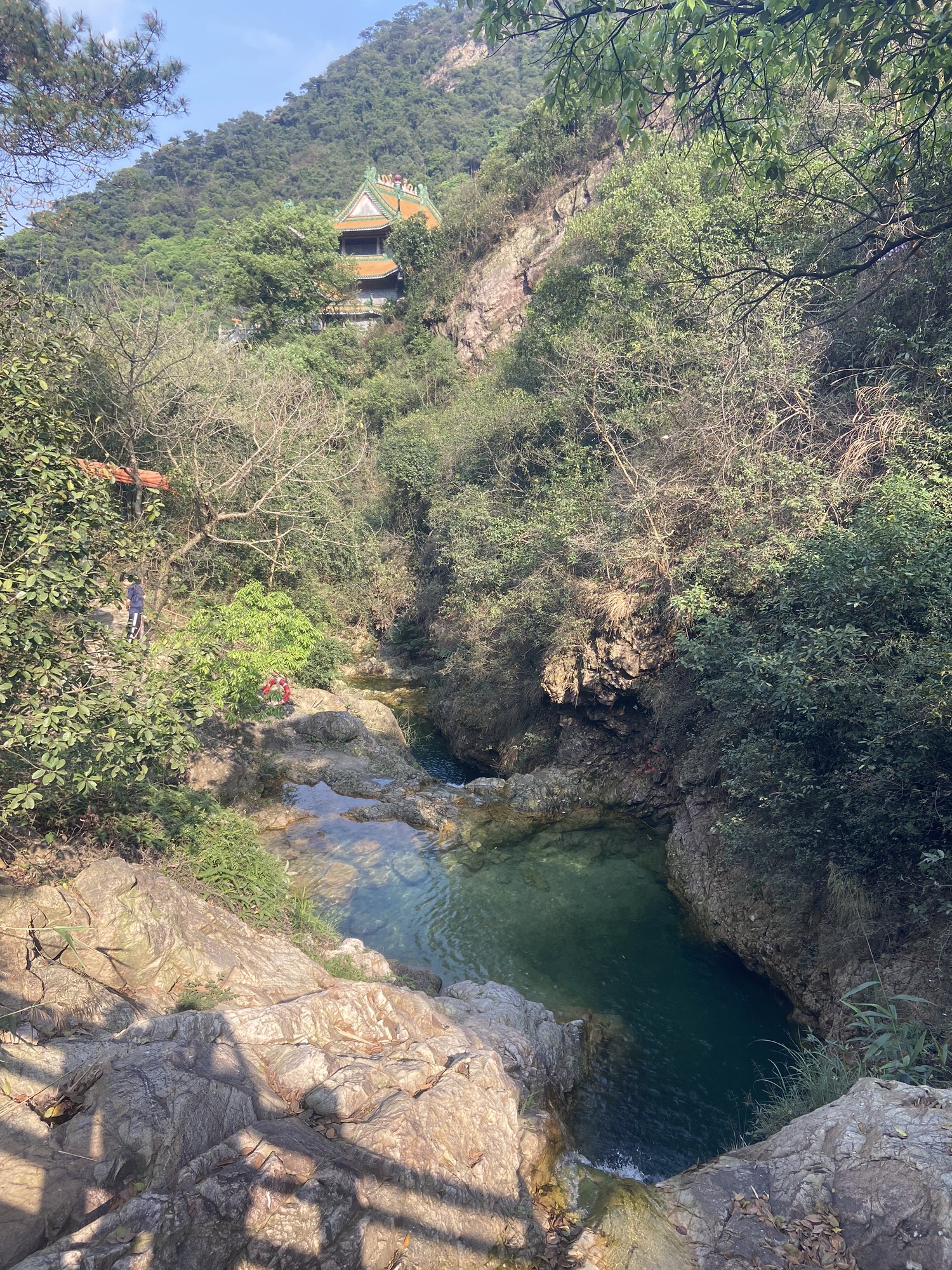 南海湾森林生态园旅行图片 2