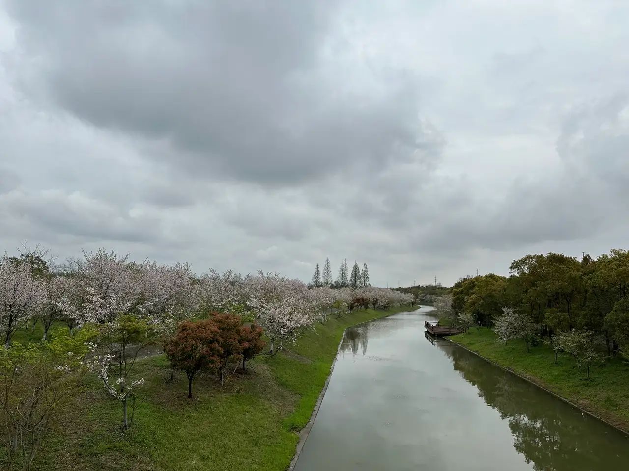 南海湾森林生态园旅行图片 2