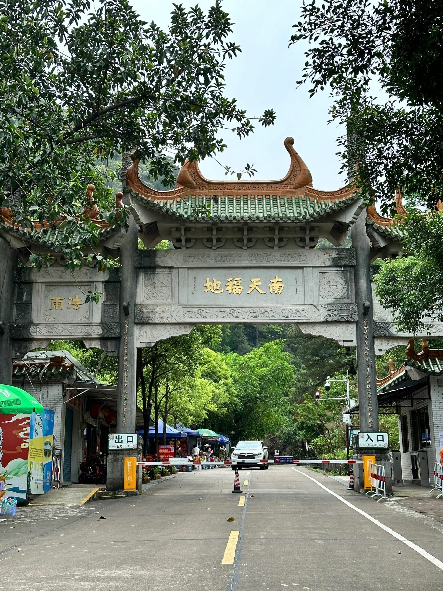 南海湾森林生态园旅行图片 1