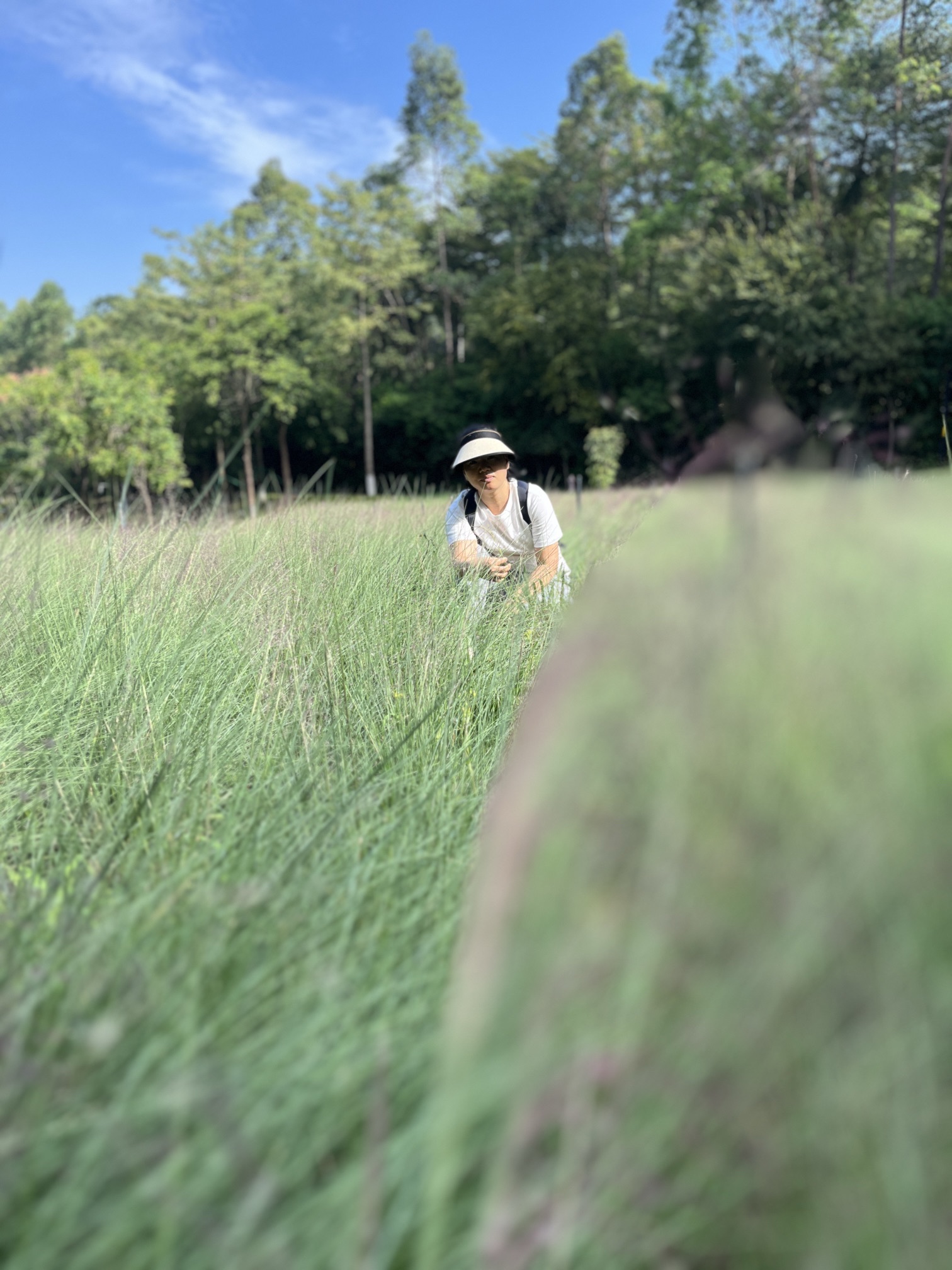三山森林公园旅行图片 1