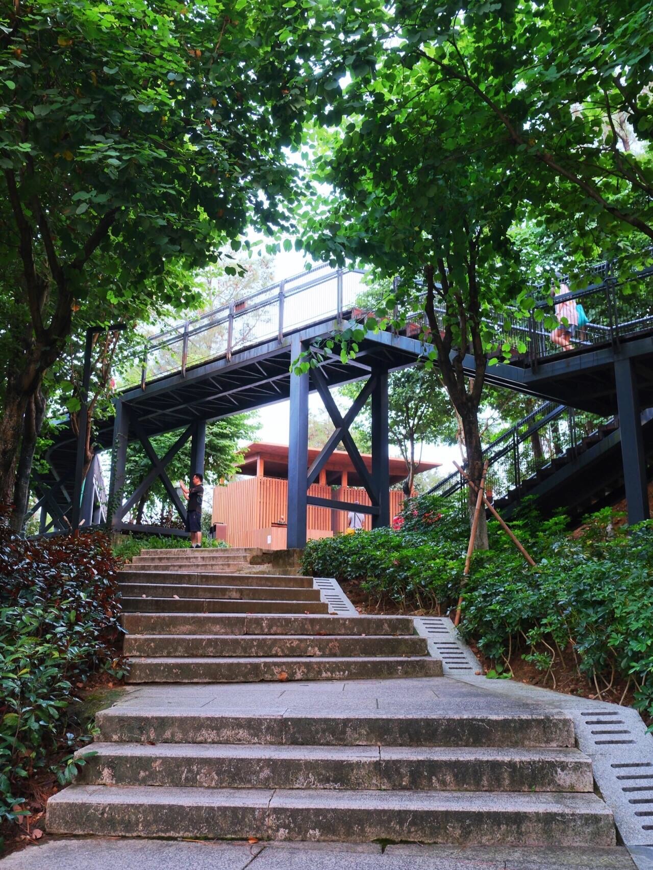 三山森林公园旅行图片 1