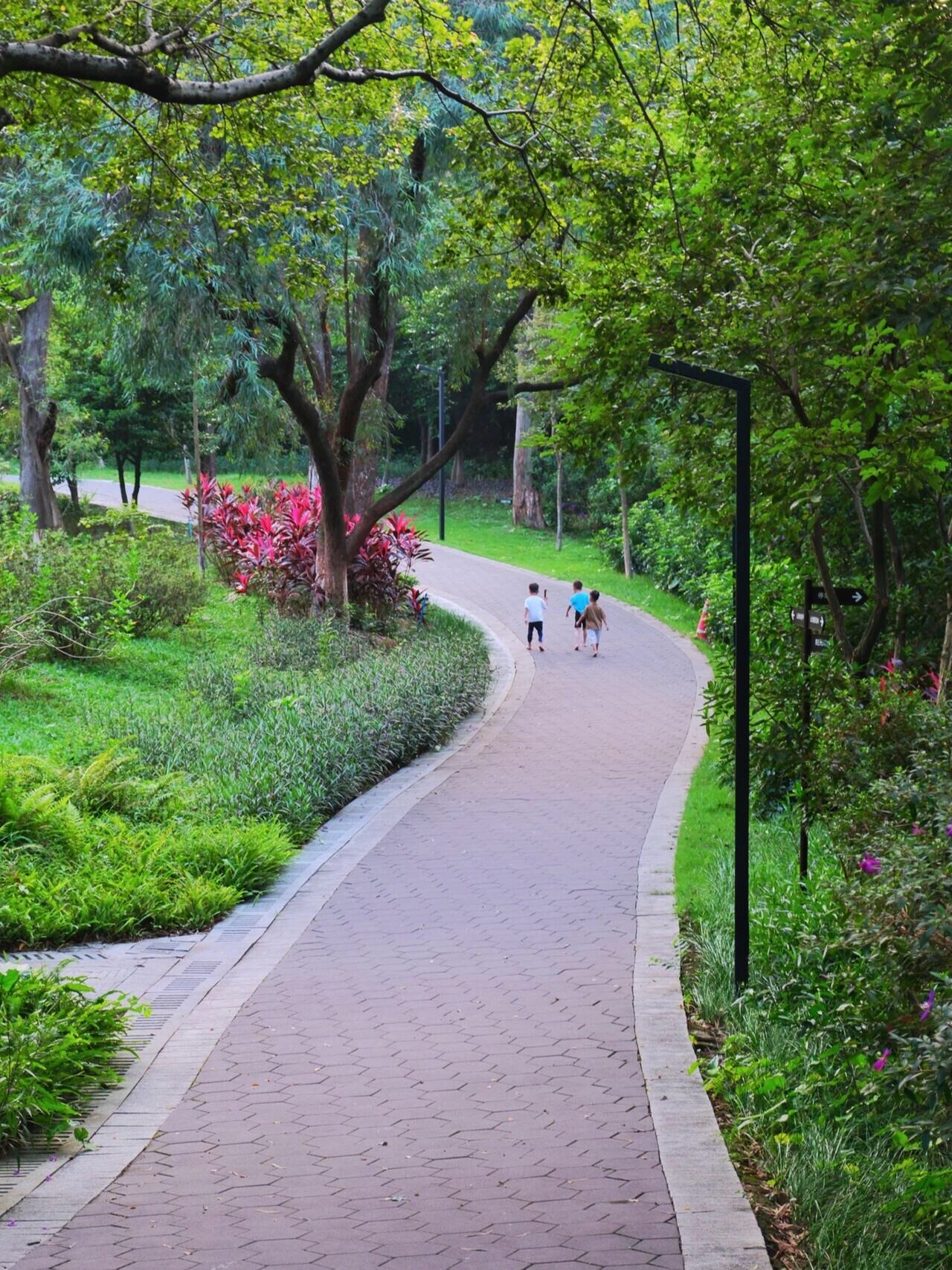 三山森林公园旅行图片 3