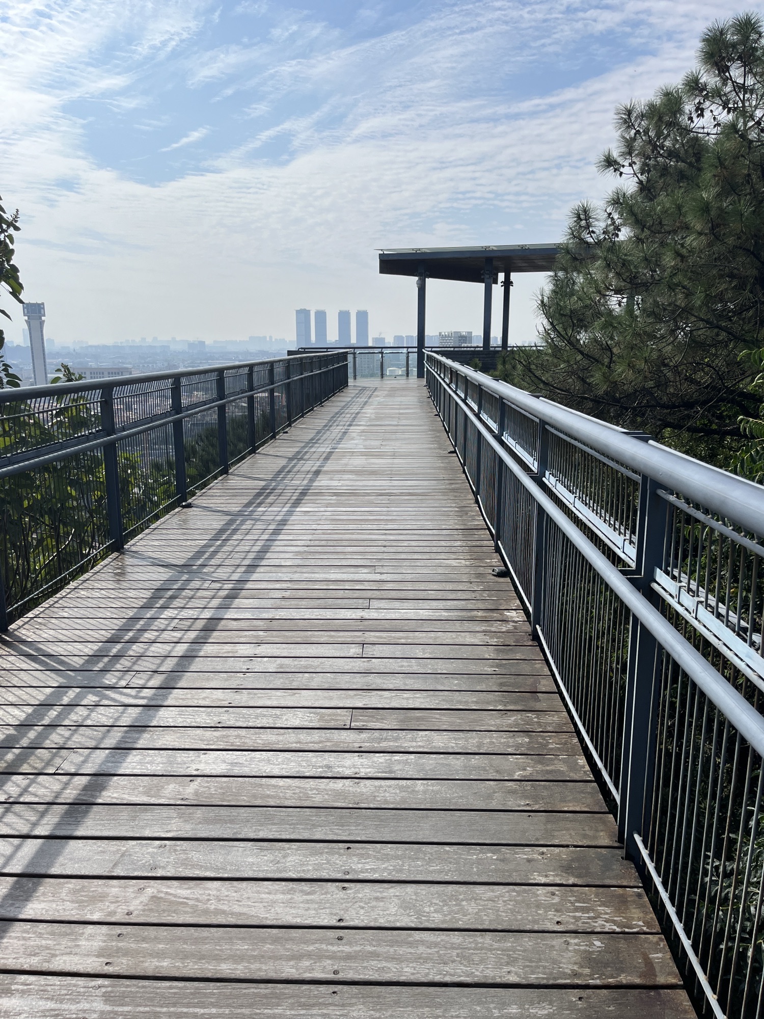 三山森林公园旅行图片 3