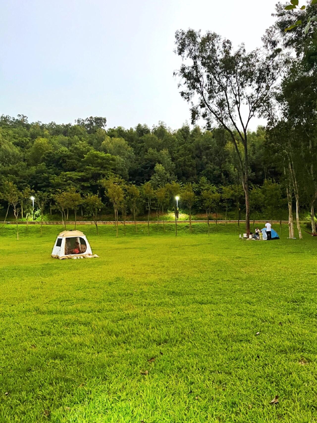 三山森林公园旅行图片 2