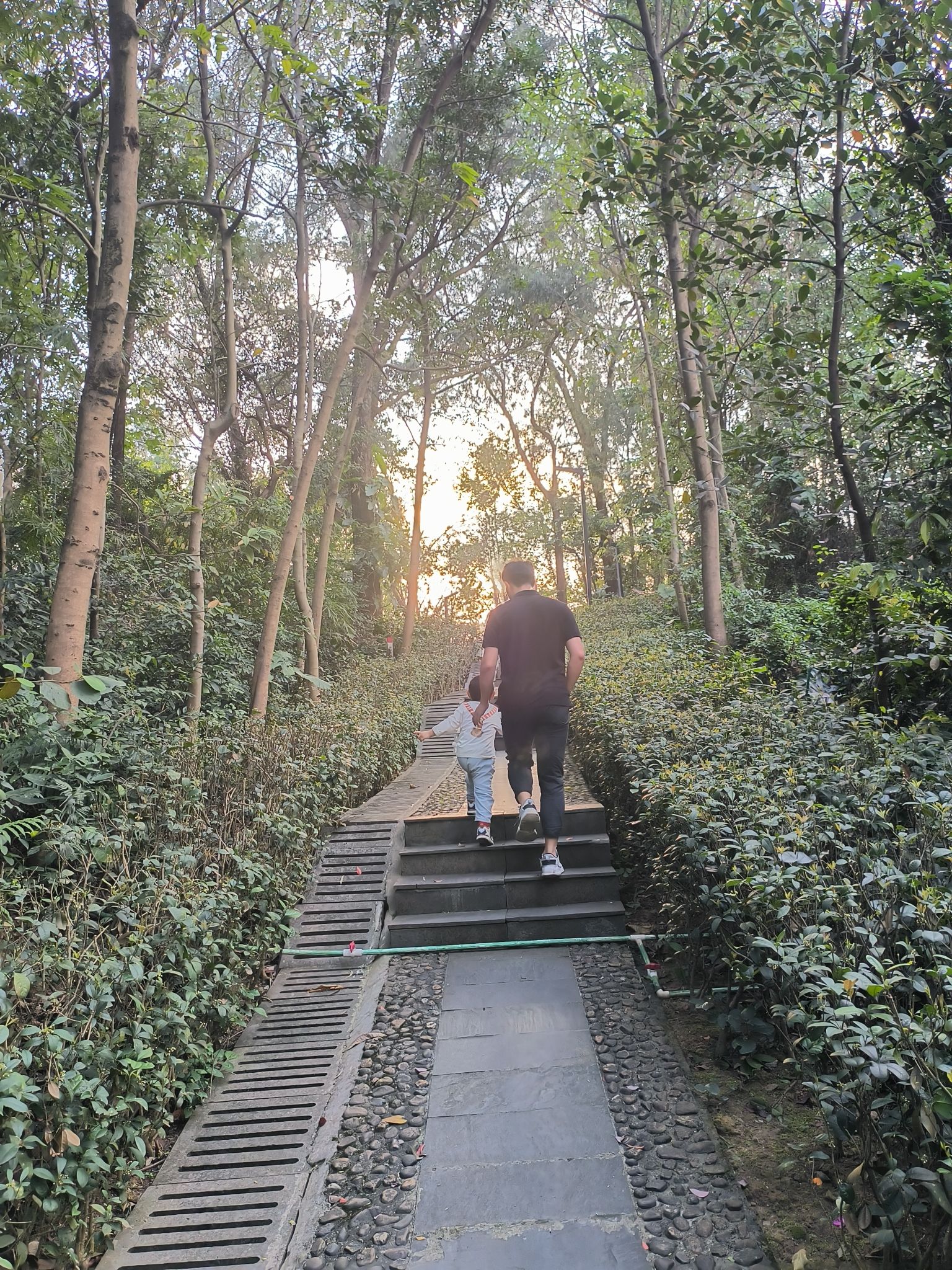 三山森林公园旅行图片 3