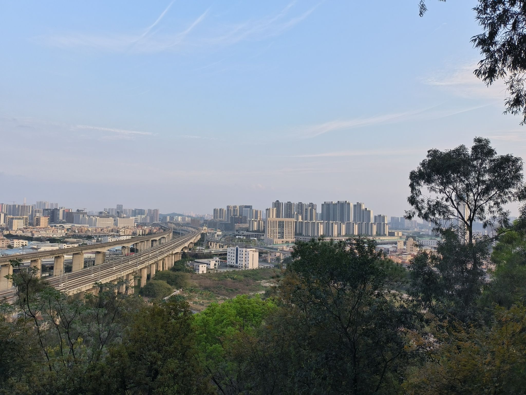 三山森林公园旅行图片 2