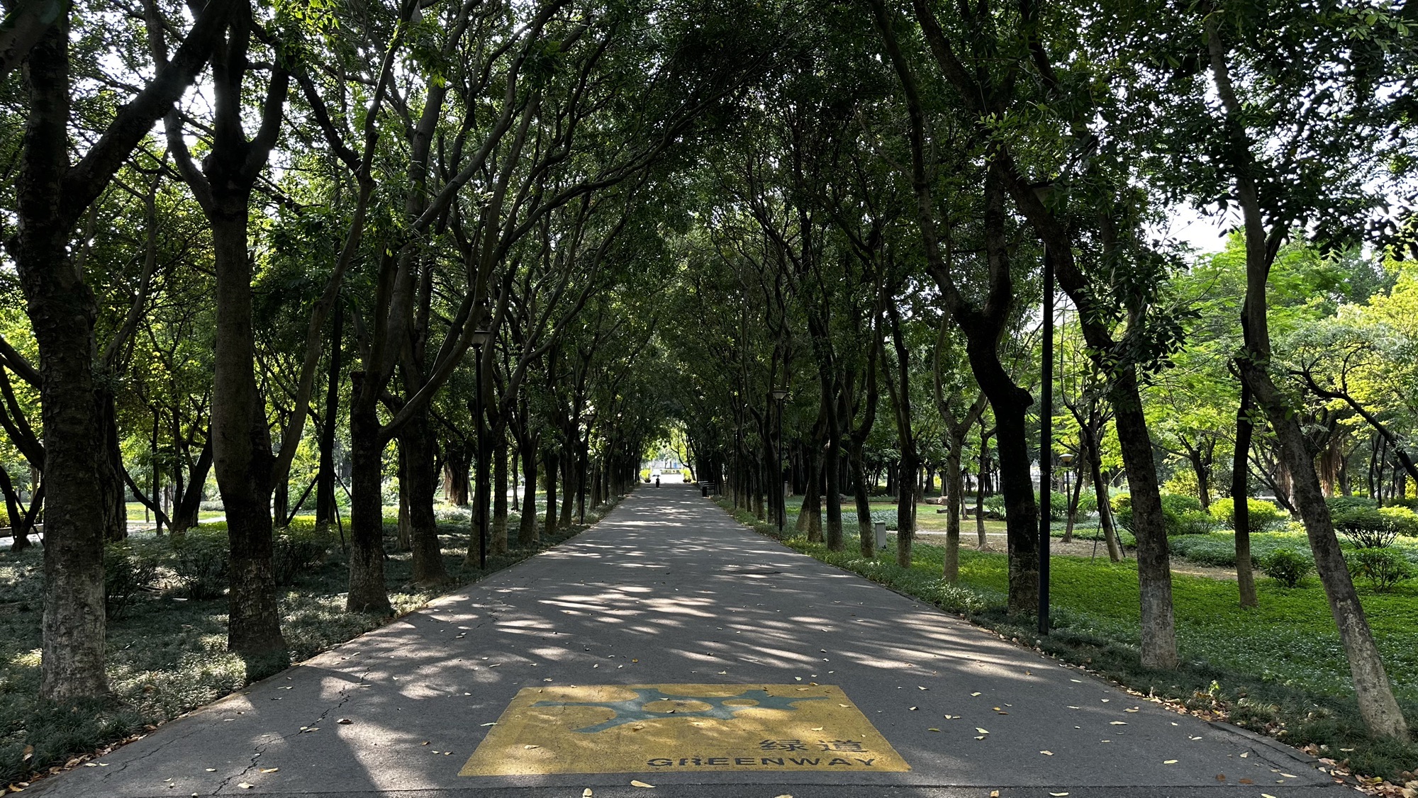 佛山公园旅行图片 3