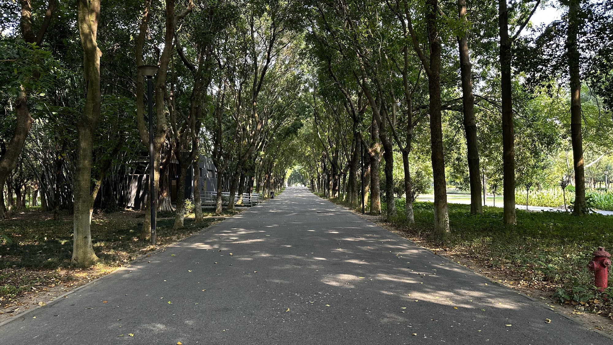 佛山公园旅行图片 1