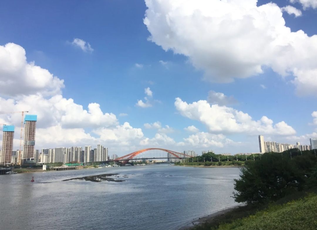 佛山公园旅行图片 1