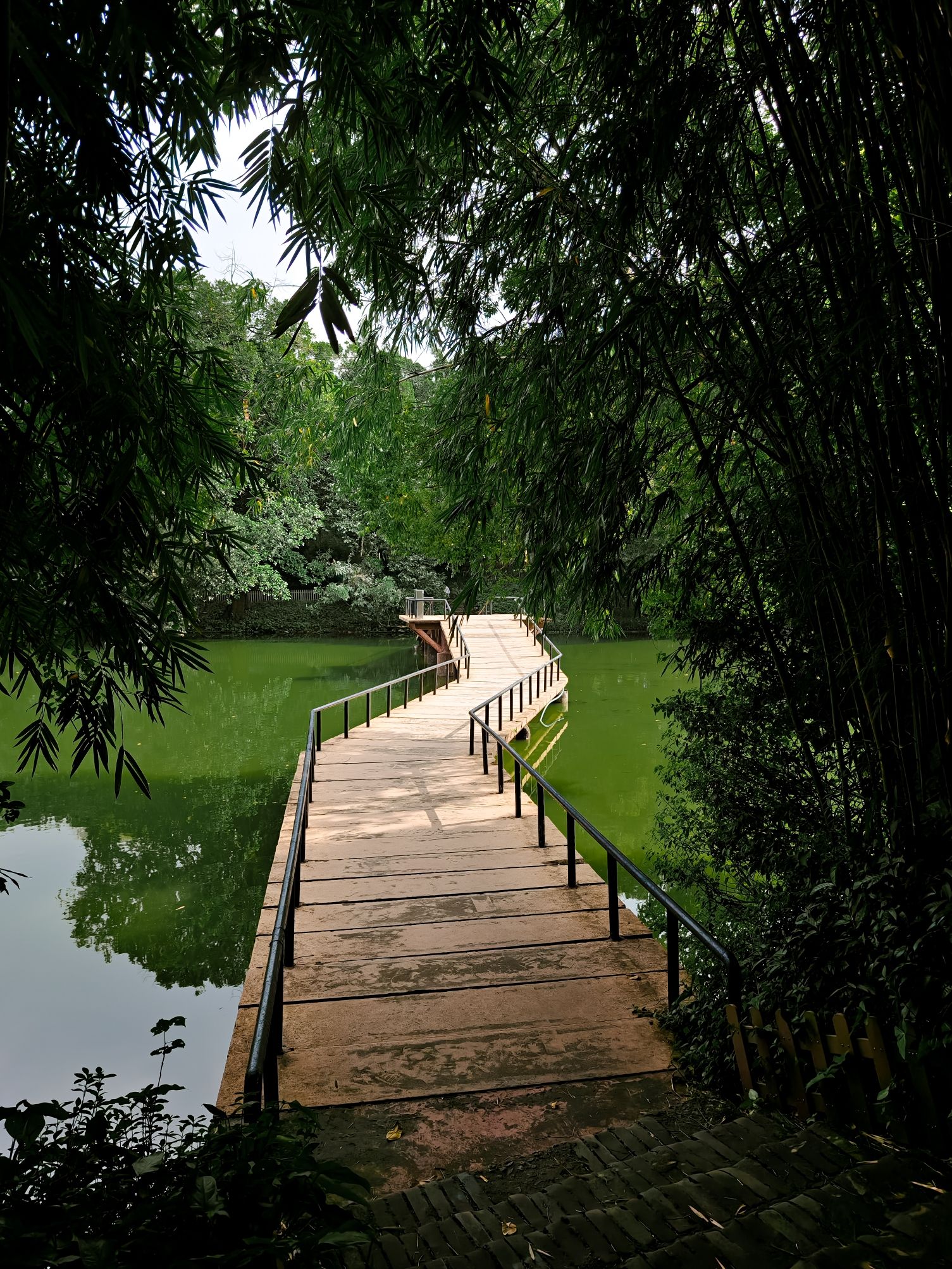 佛山公园旅行图片 1