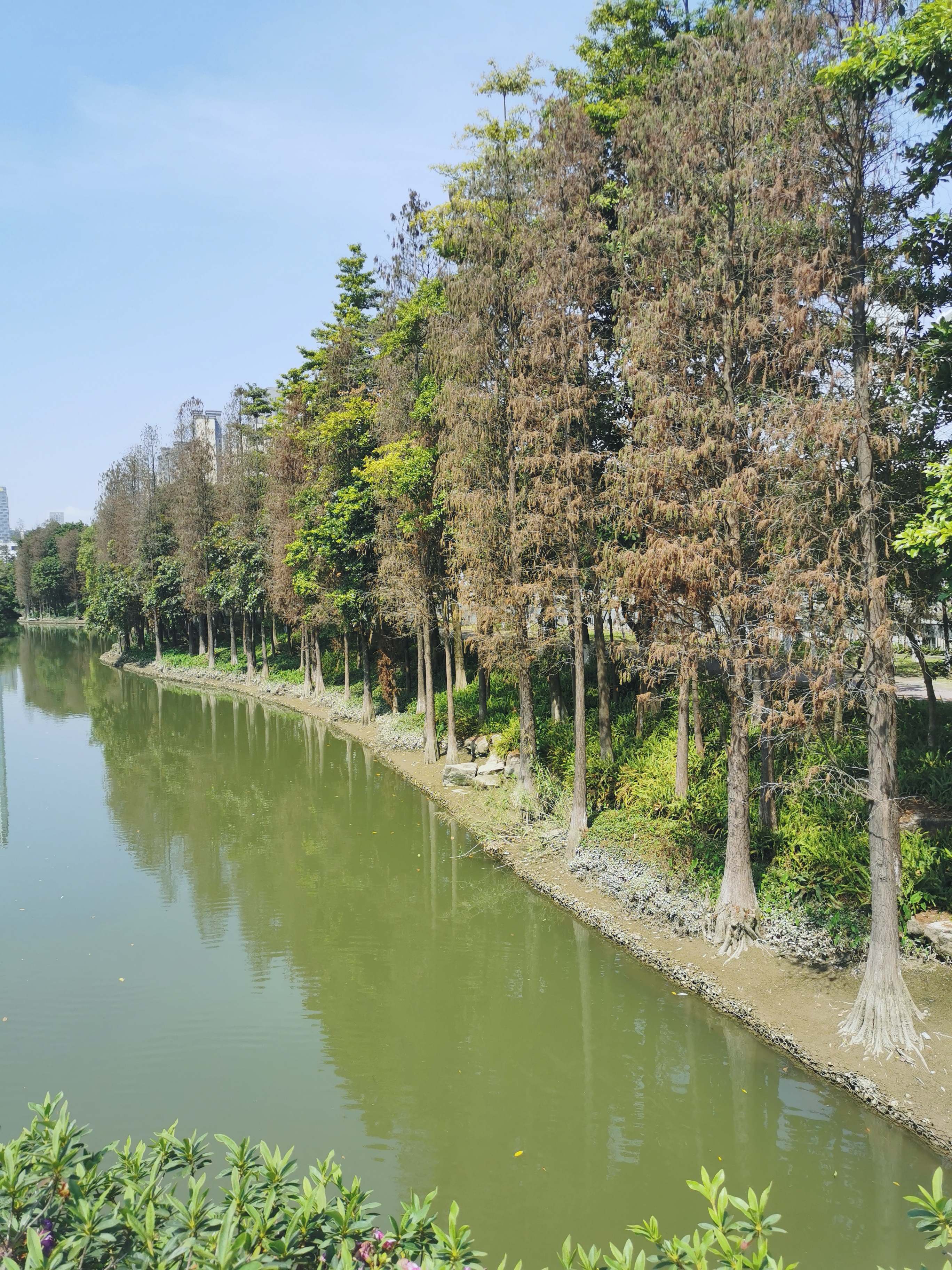 佛山公园