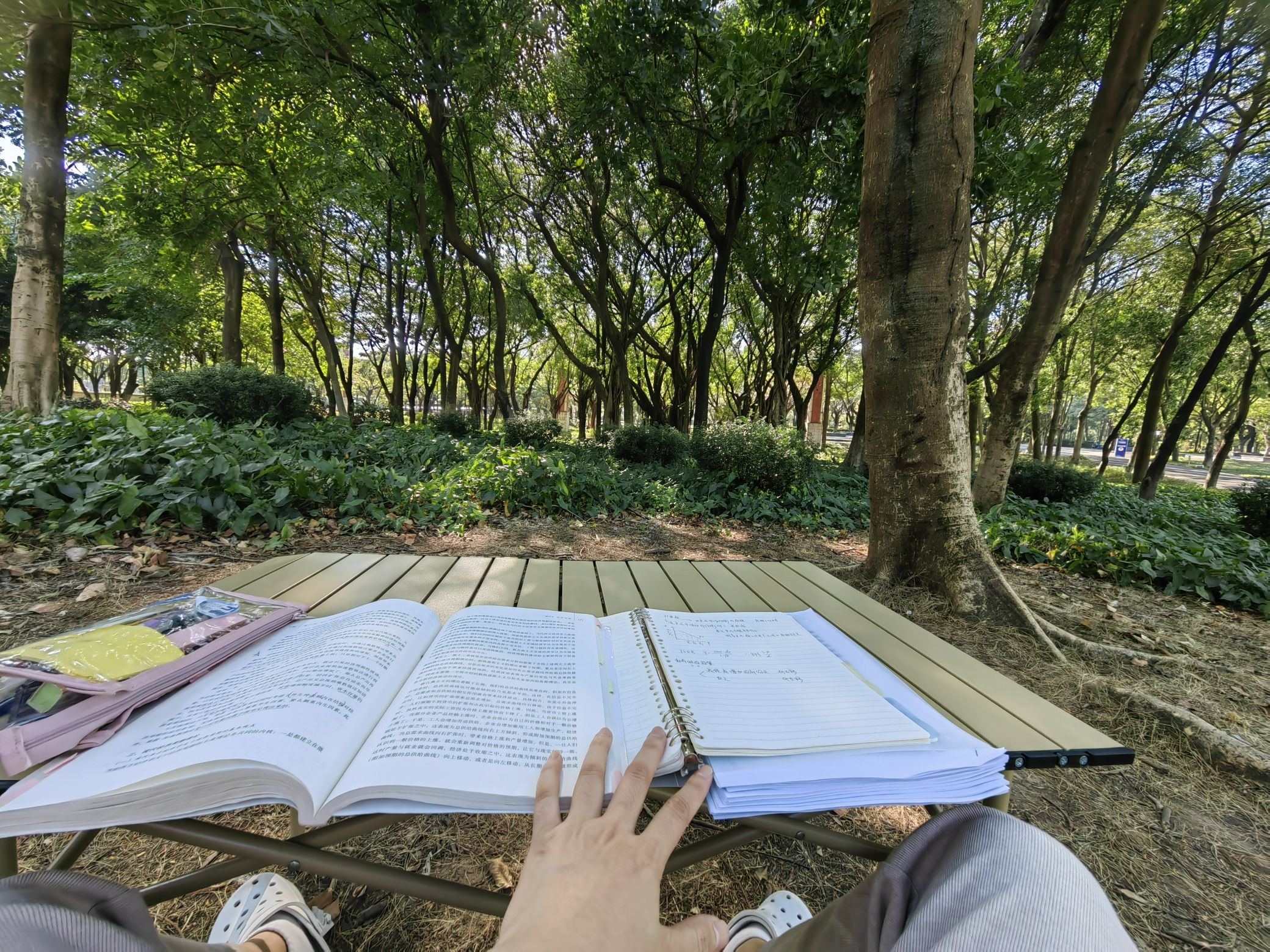 佛山公园旅行图片 1