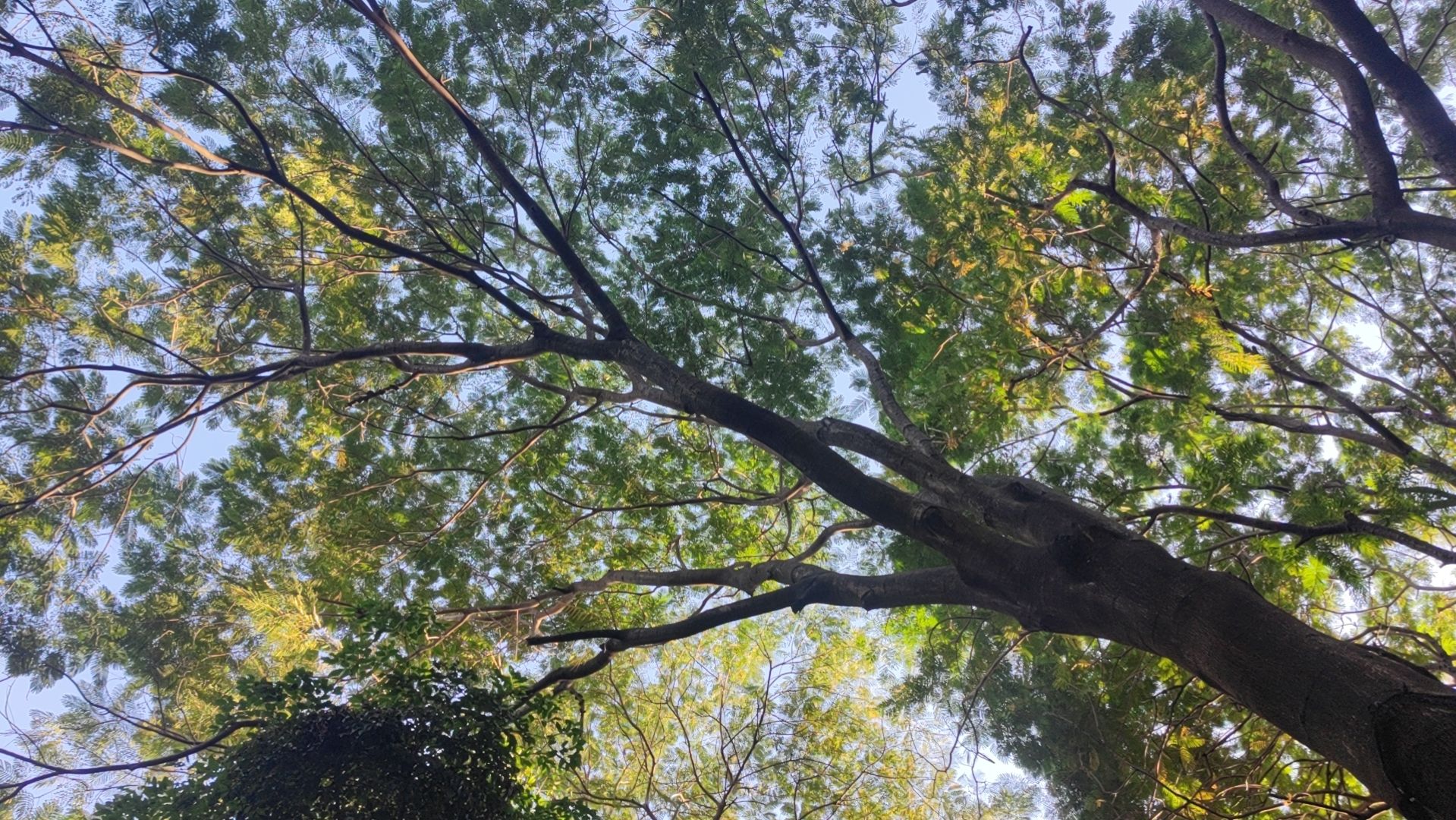 佛山公园旅行图片 2