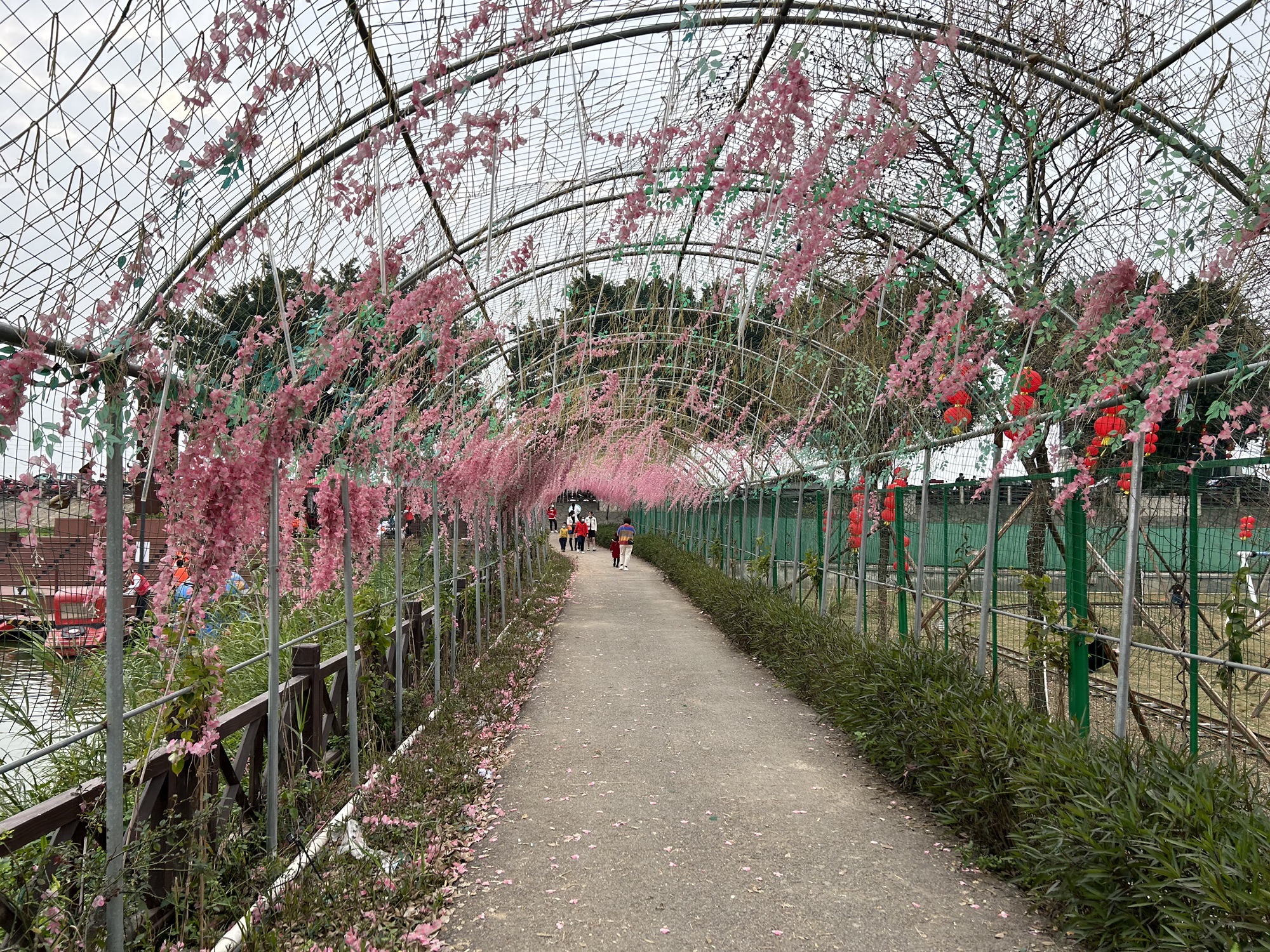 西江公园旅行图片 3