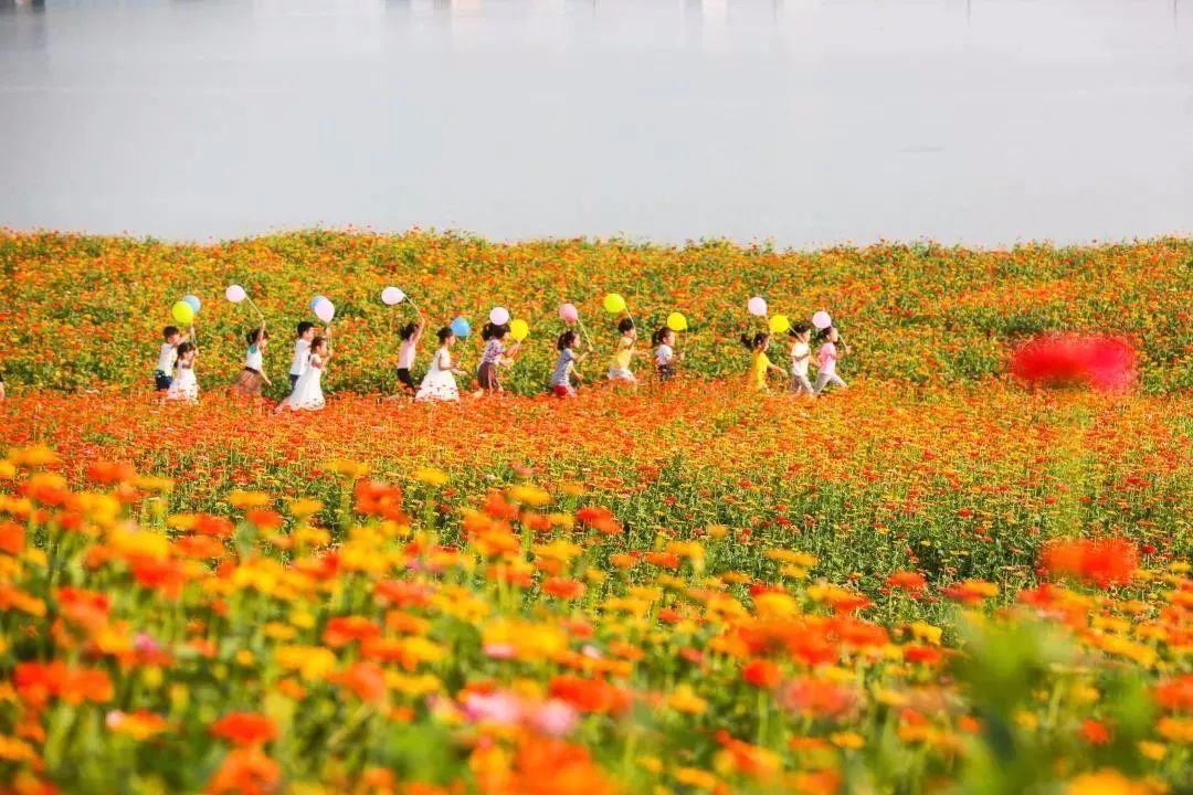 西江公园旅行图片 2