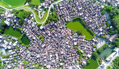 西江公园旅行图片 3