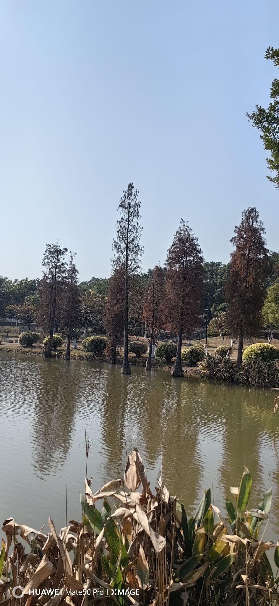 西江公园旅行图片 2