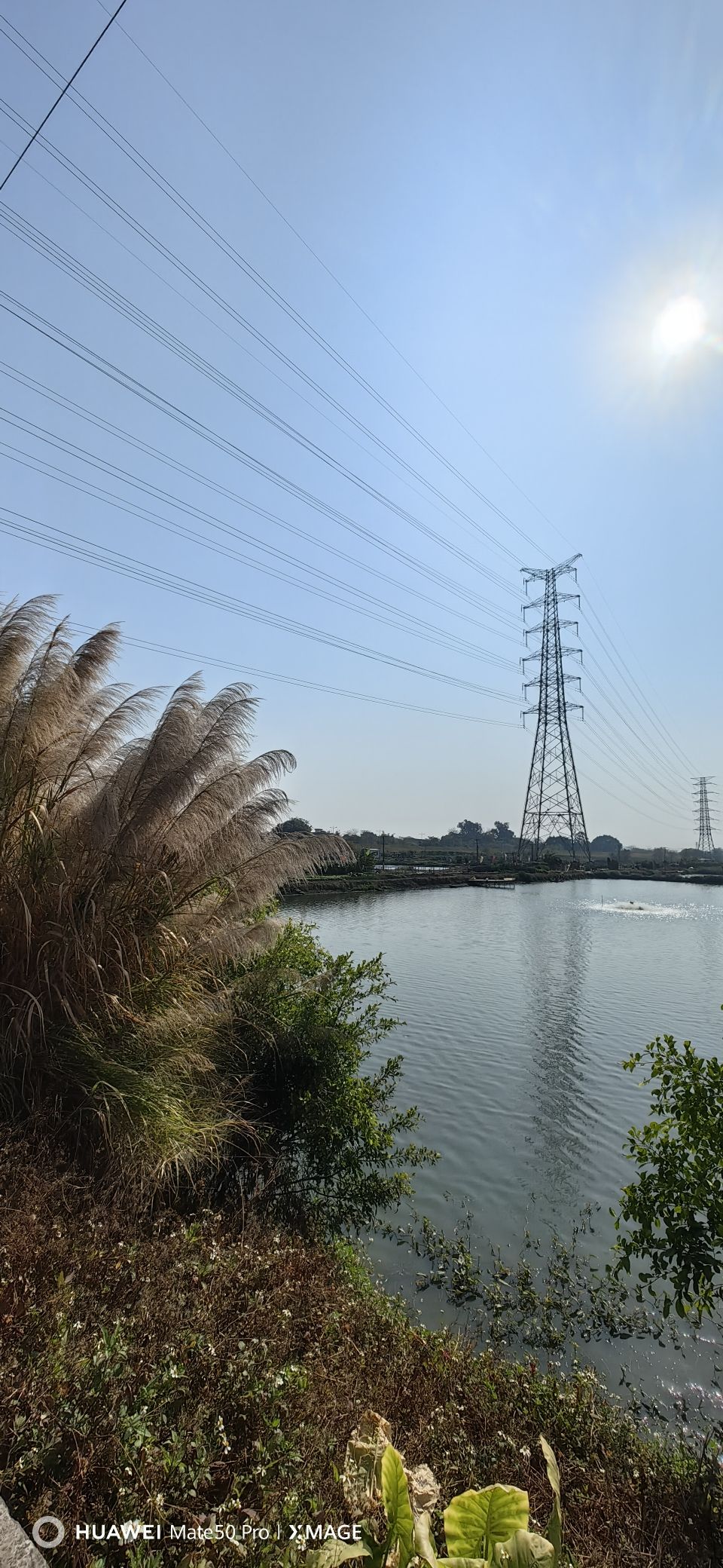 西江公园旅行图片 1