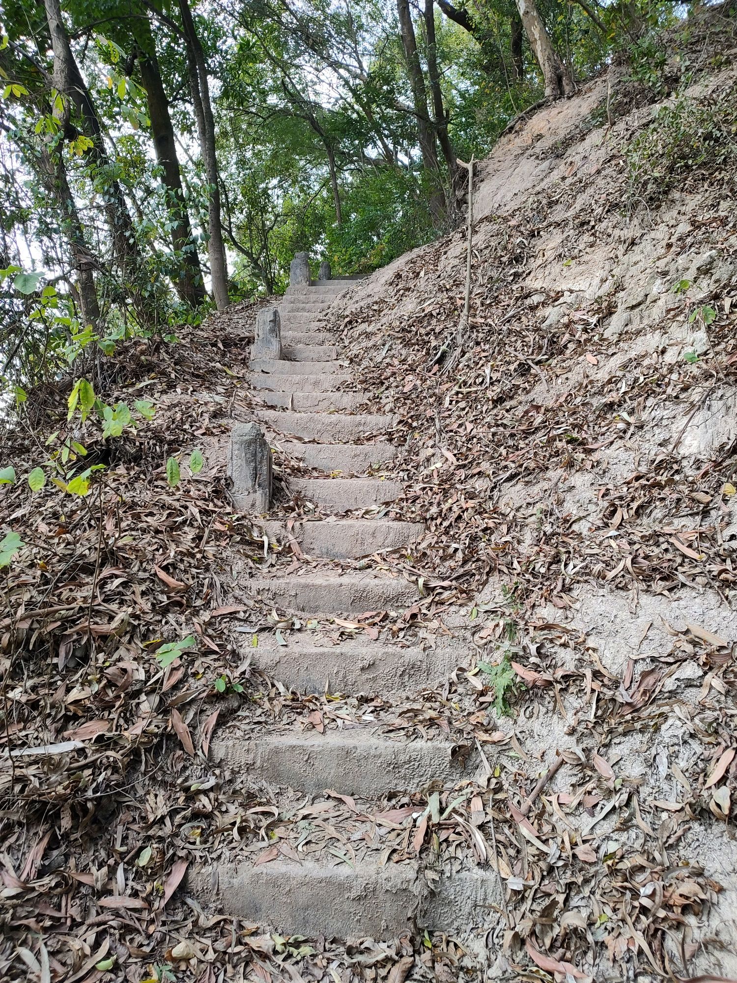 龙华苑旅行图片 2