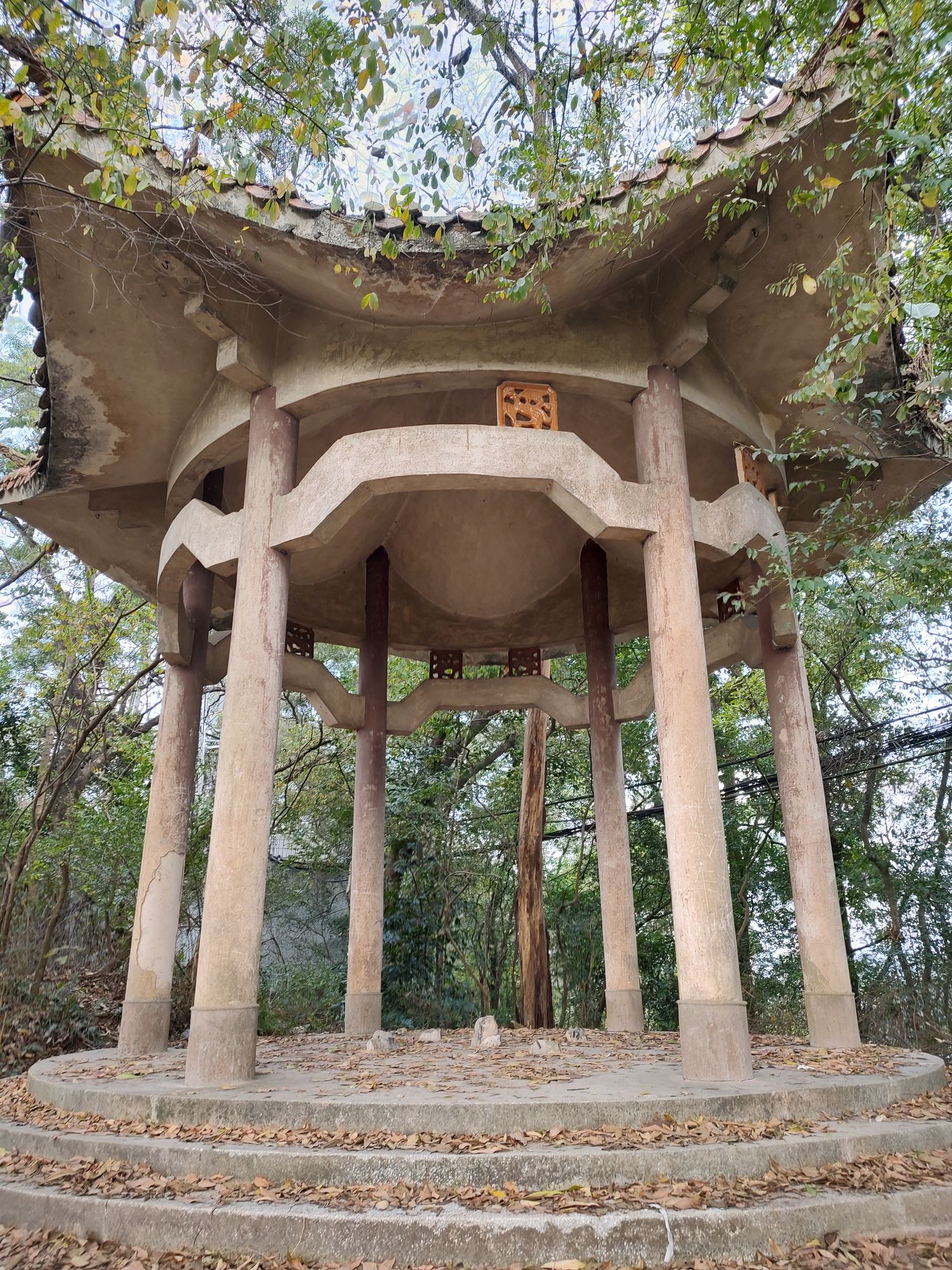 龙华苑旅行图片 3