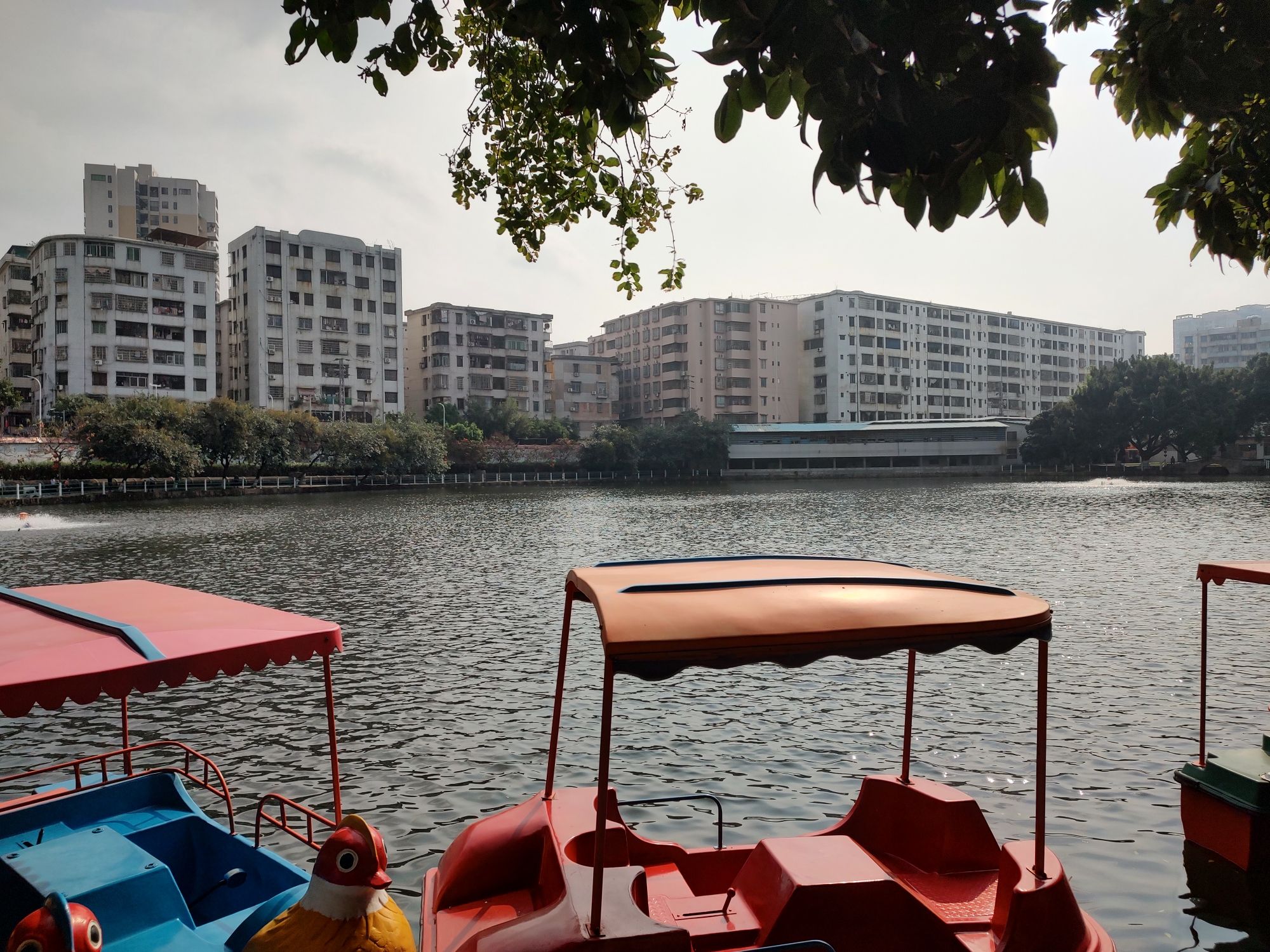 四会市槎山公园旅行图片 2