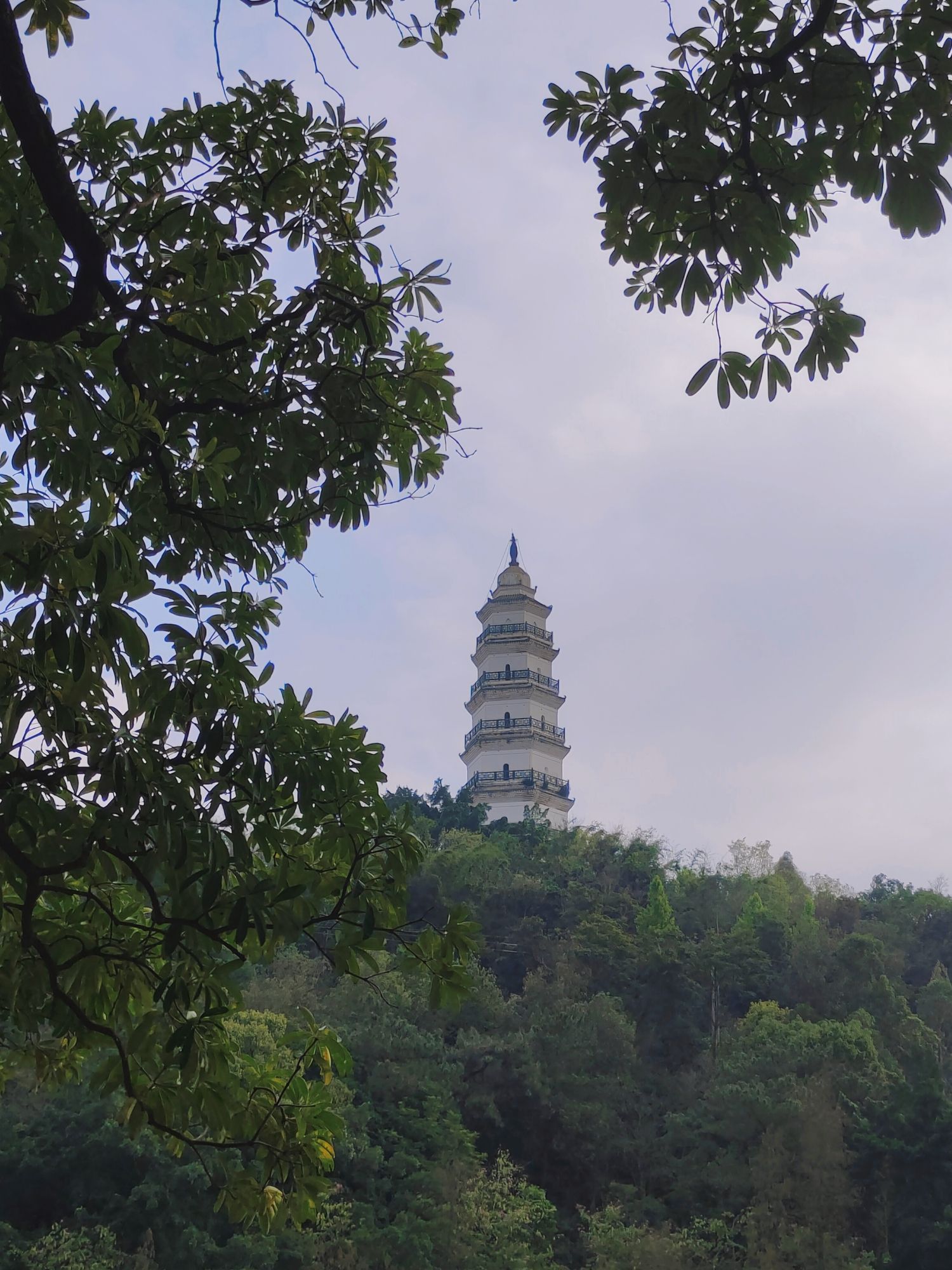 国荞公园旅行图片 1