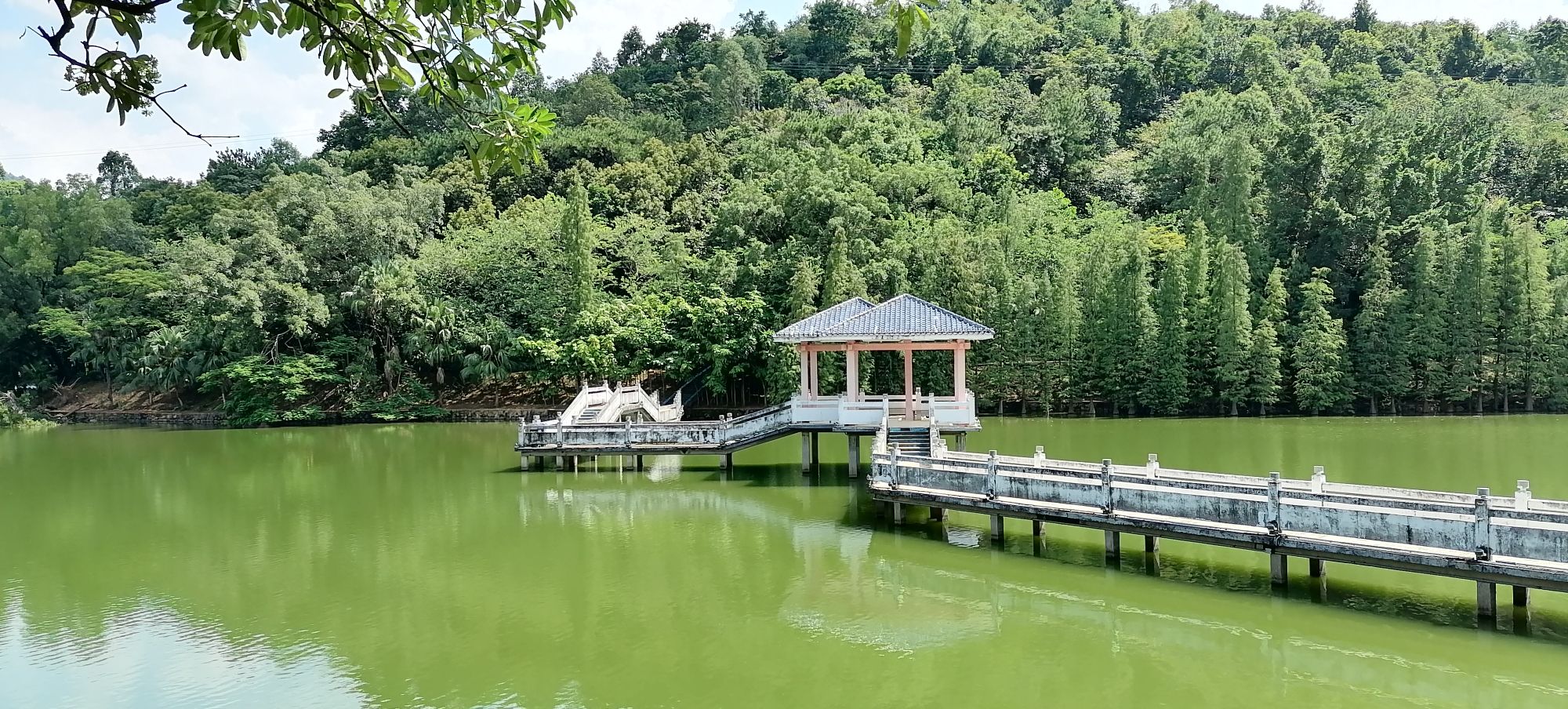 国荞公园旅行图片 2