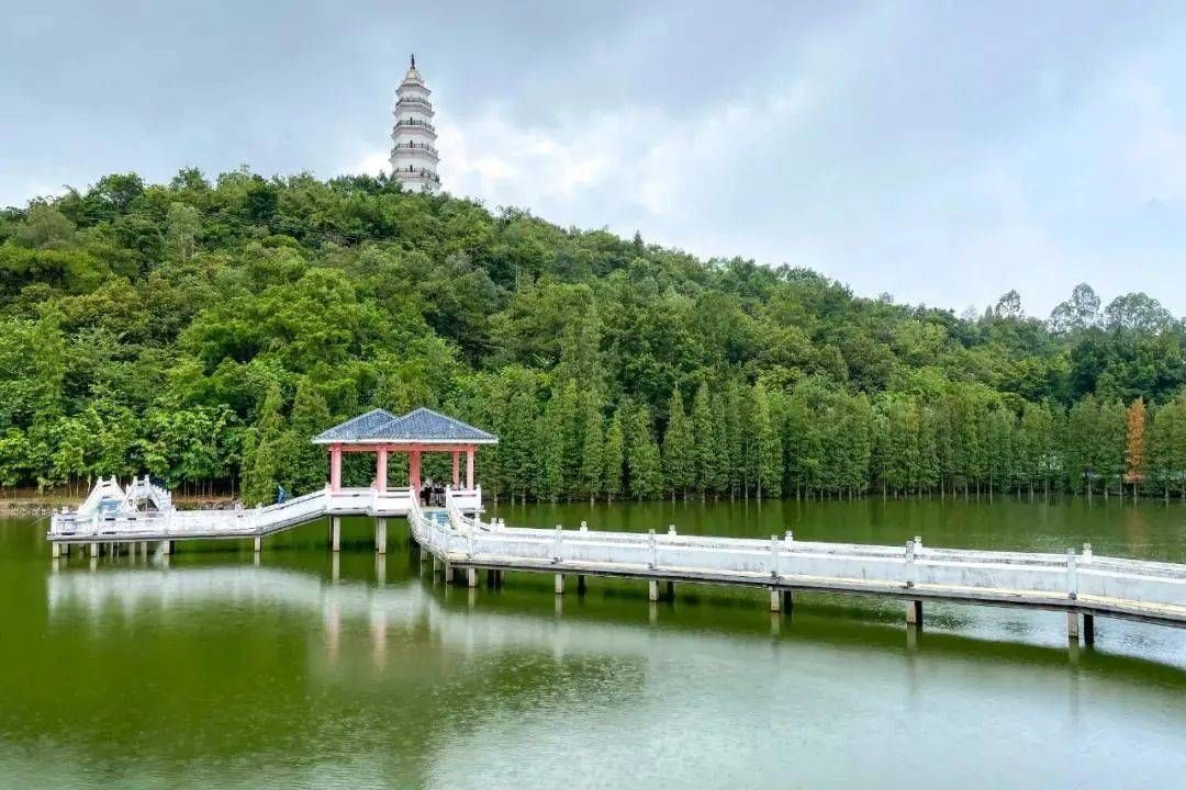 国荞公园旅行图片 2